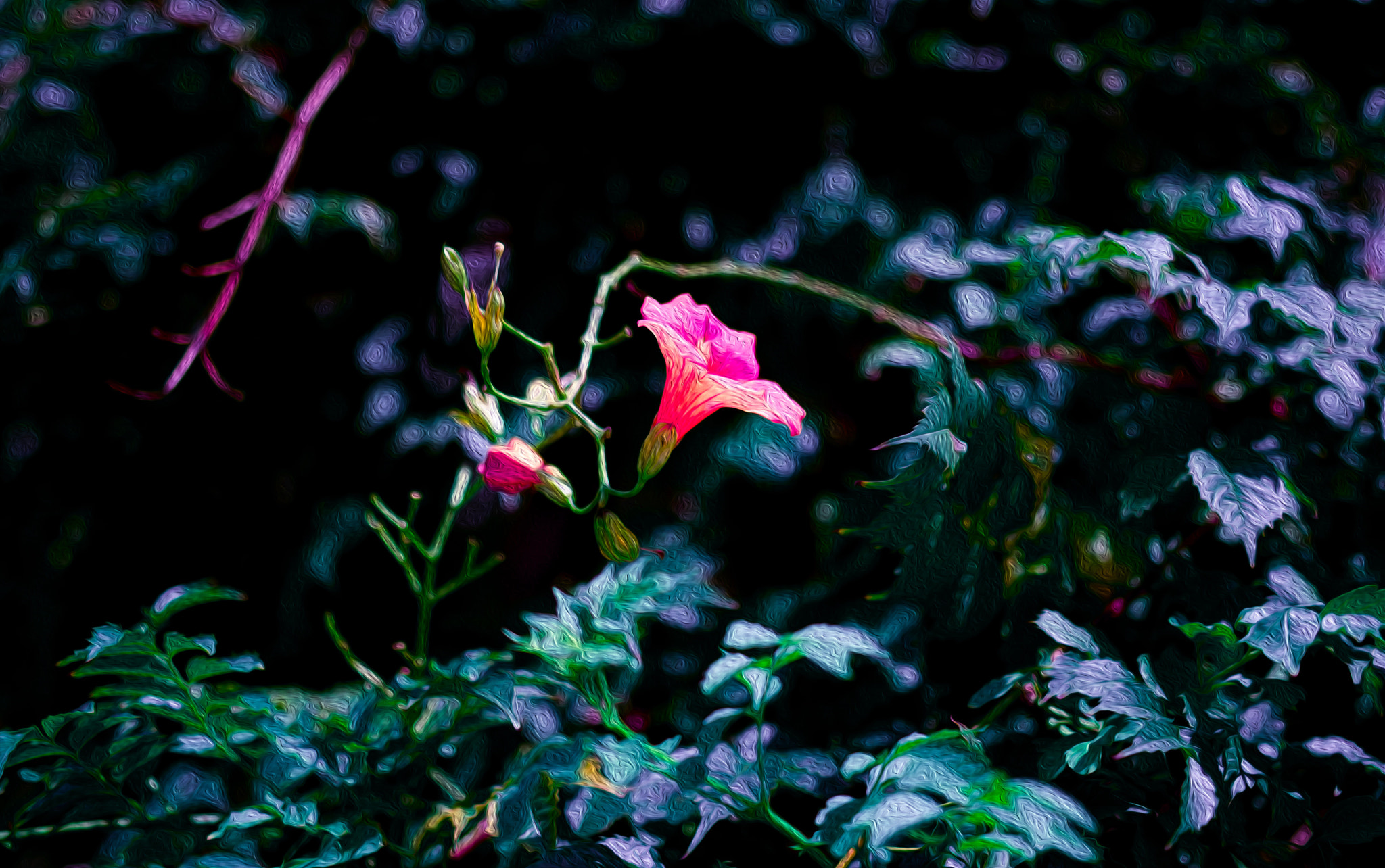 Nikon D800E + Sigma 50mm F1.4 DG HSM Art sample photo. Twilight photography