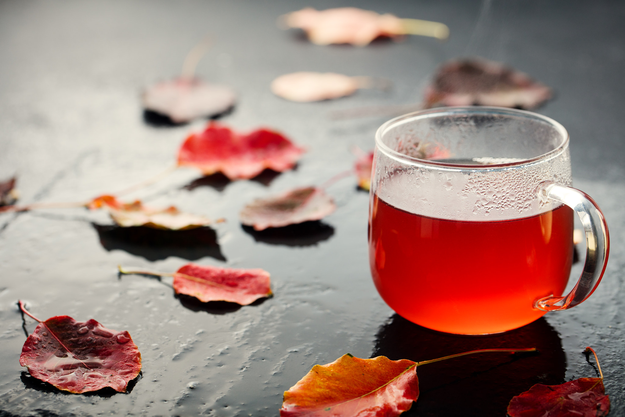 Canon EOS 5DS + Canon EF 100mm F2.8L Macro IS USM sample photo. Cup of herbal and fruit tea with autumn leaves photography