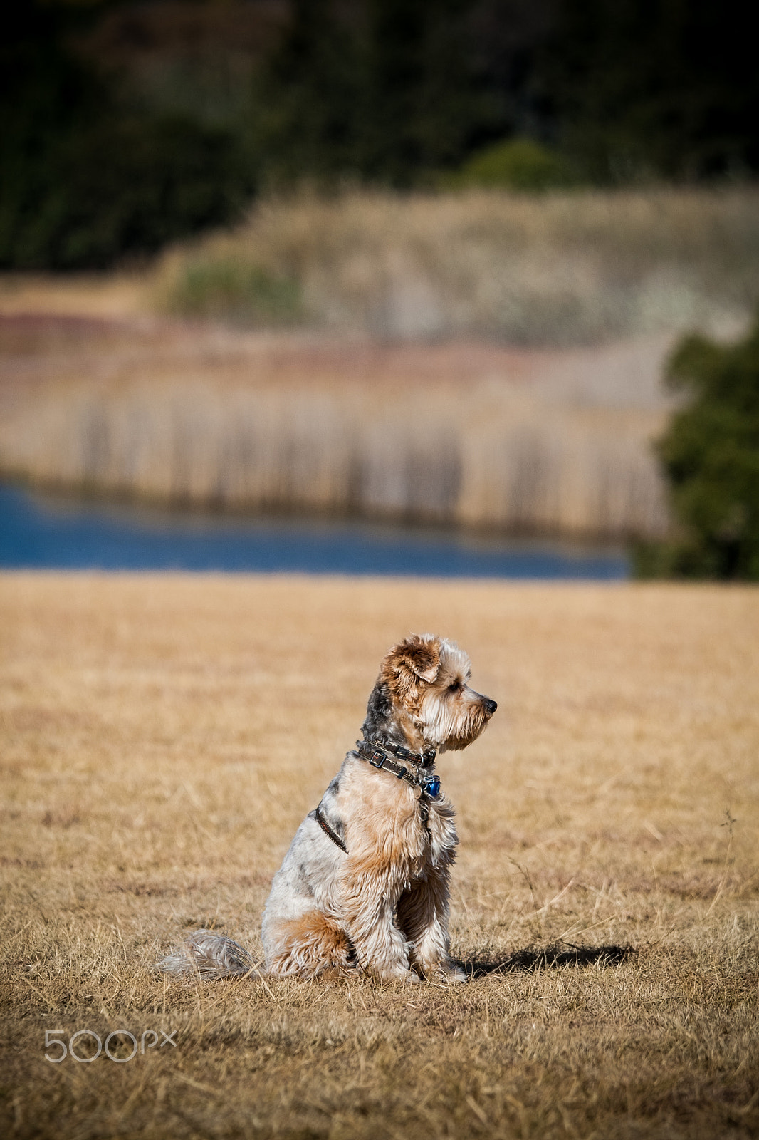 Canon EF 70-200mm F4L IS USM sample photo. Sailor photography