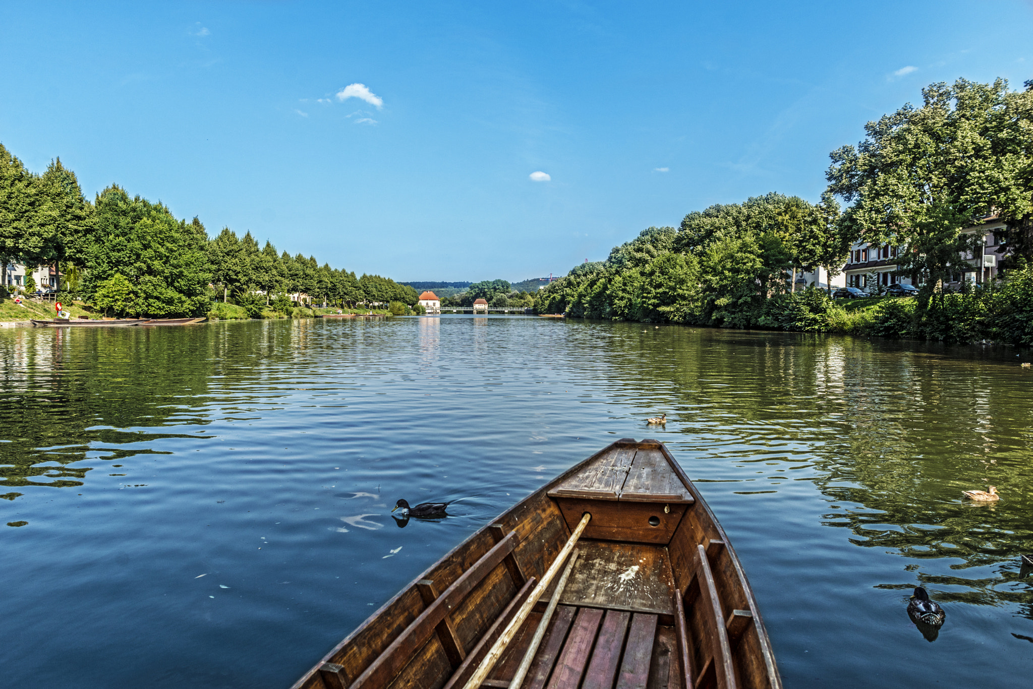 Nikon D610 + Sigma 24mm F1.8 EX DG Aspherical Macro sample photo. Neckar photography