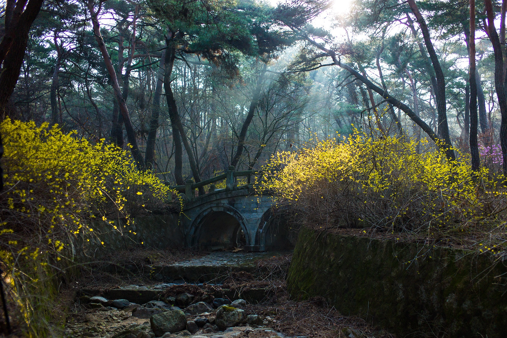 Leica M9 + Leica Summicron-M 35mm F2 ASPH sample photo