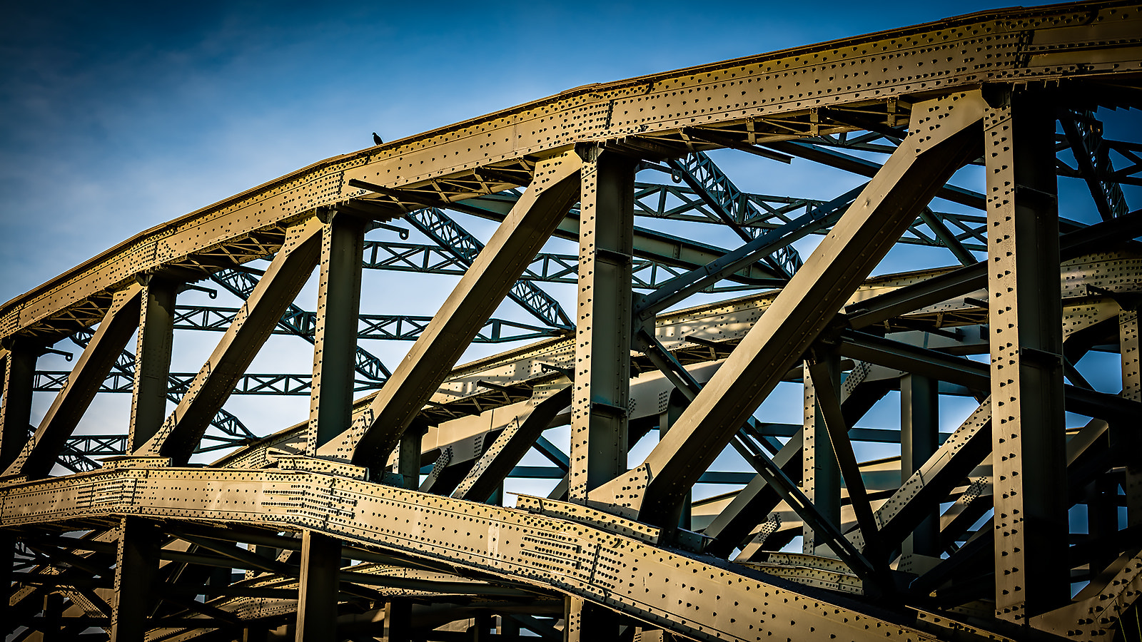 Canon EOS 5DS + Canon EF 70-300mm F4-5.6L IS USM sample photo. Hohenzoller bridge photography