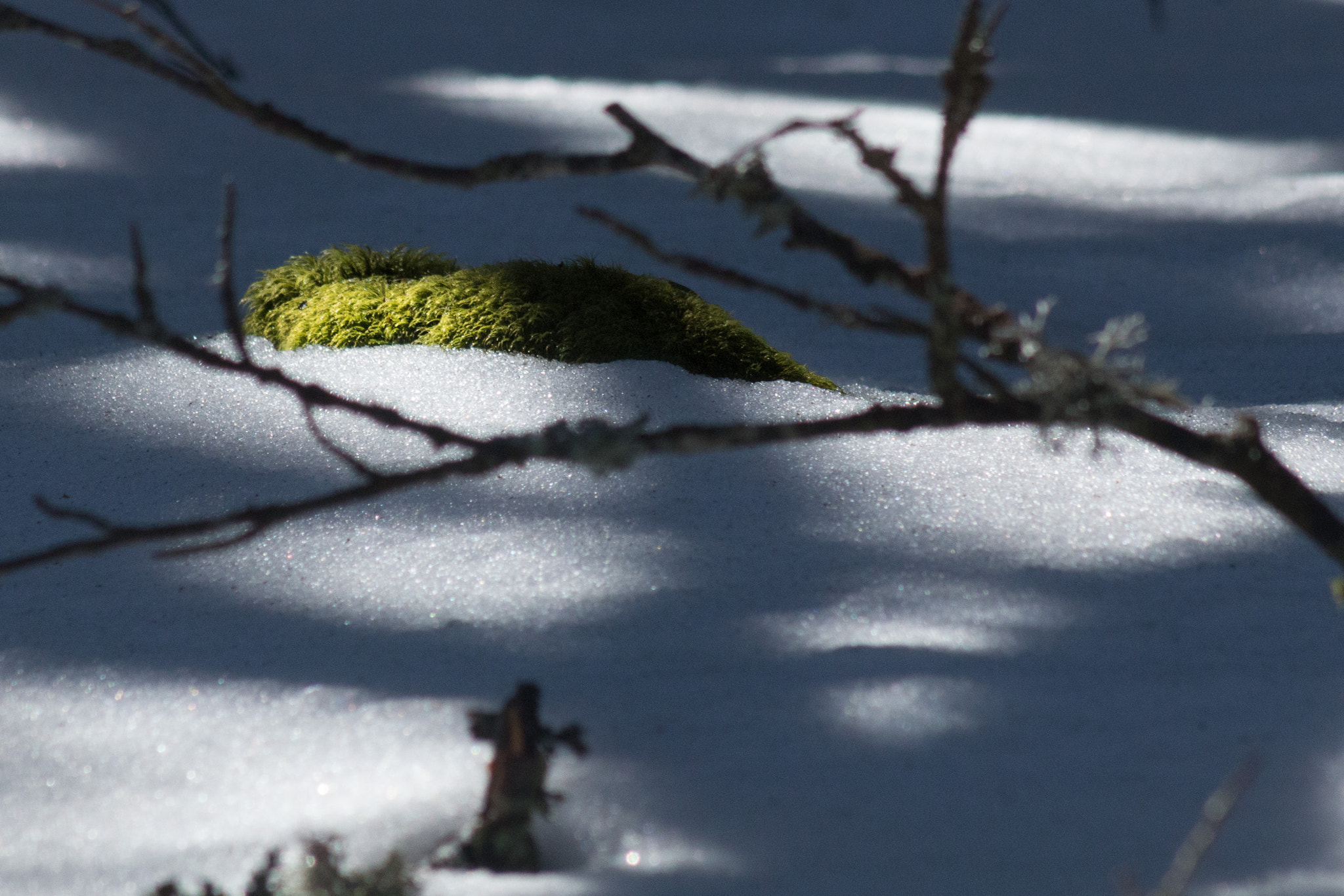 Canon EF 75-300mm f/4-5.6 USM sample photo. 24805316964.jpg photography