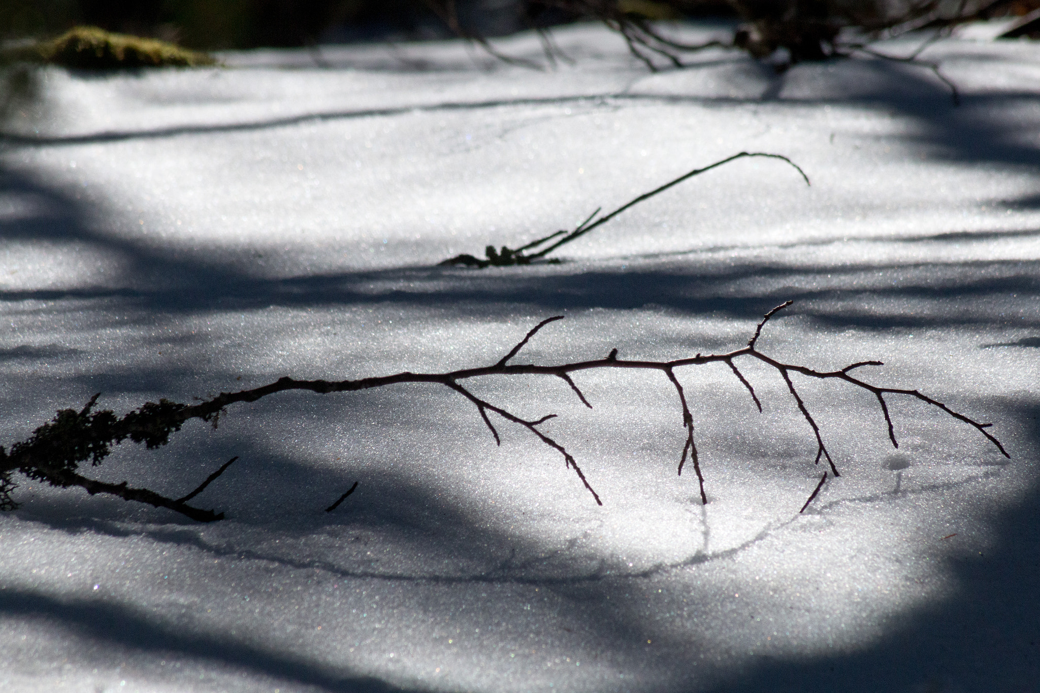 Canon EF 75-300mm f/4-5.6 USM sample photo. 25038701409.jpg photography