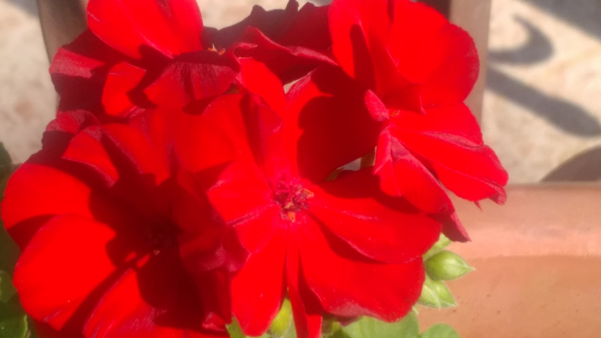 HTC ONE (M8 EYE) sample photo