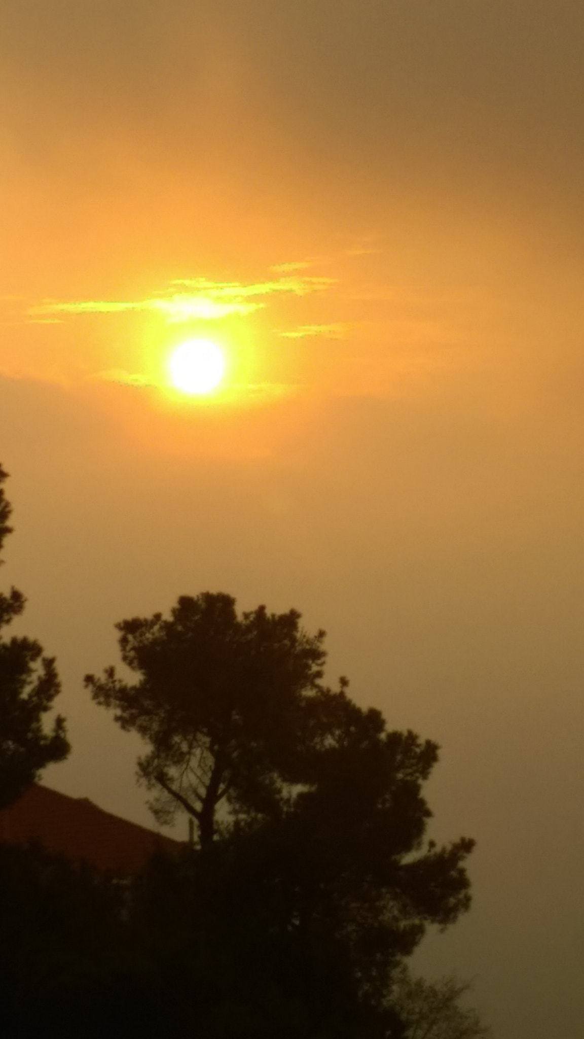 HTC ONE (M8 EYE) sample photo