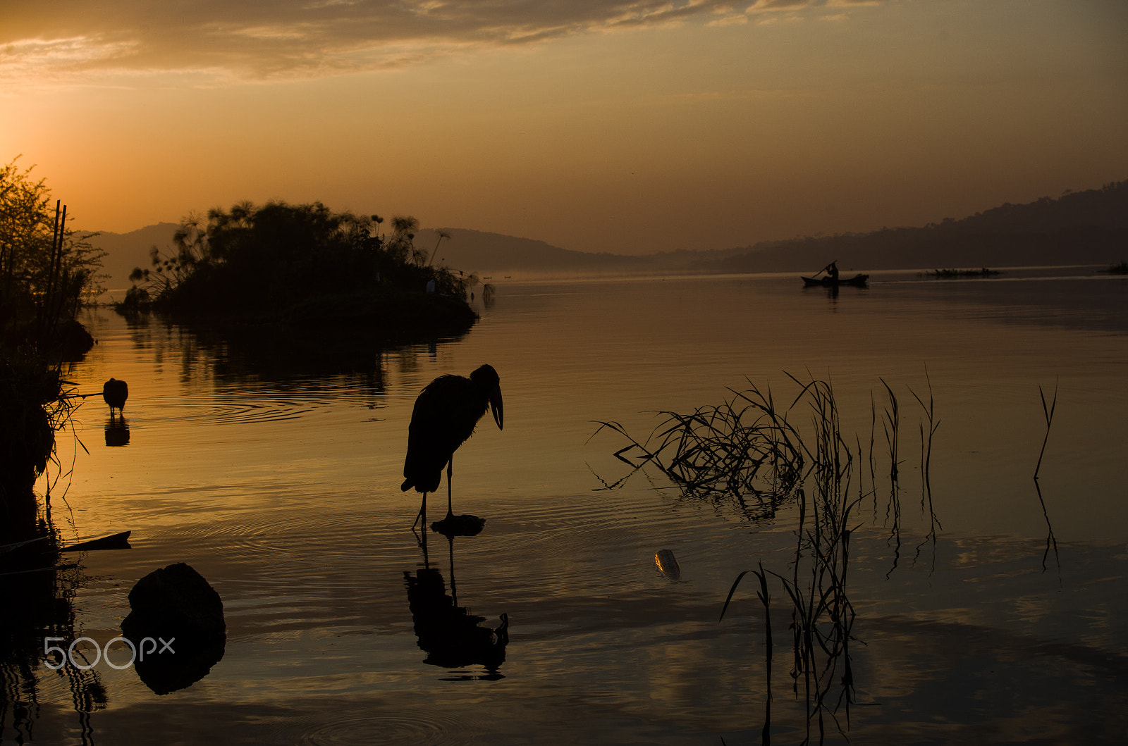 Pentax K-01 sample photo. Golden sunrise photography