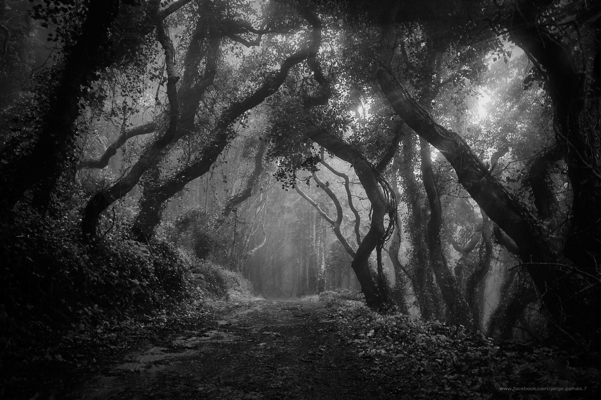 Nikon D40 sample photo. Mystic sintra photography