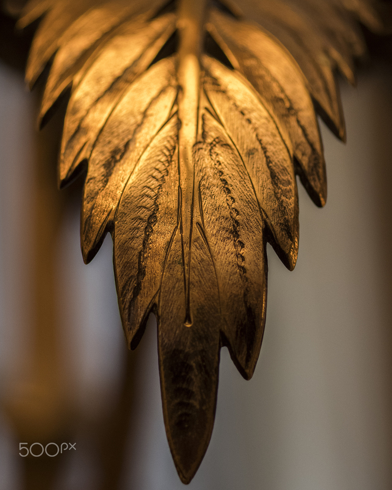 Pentax K-1 sample photo. Golden leaf photography
