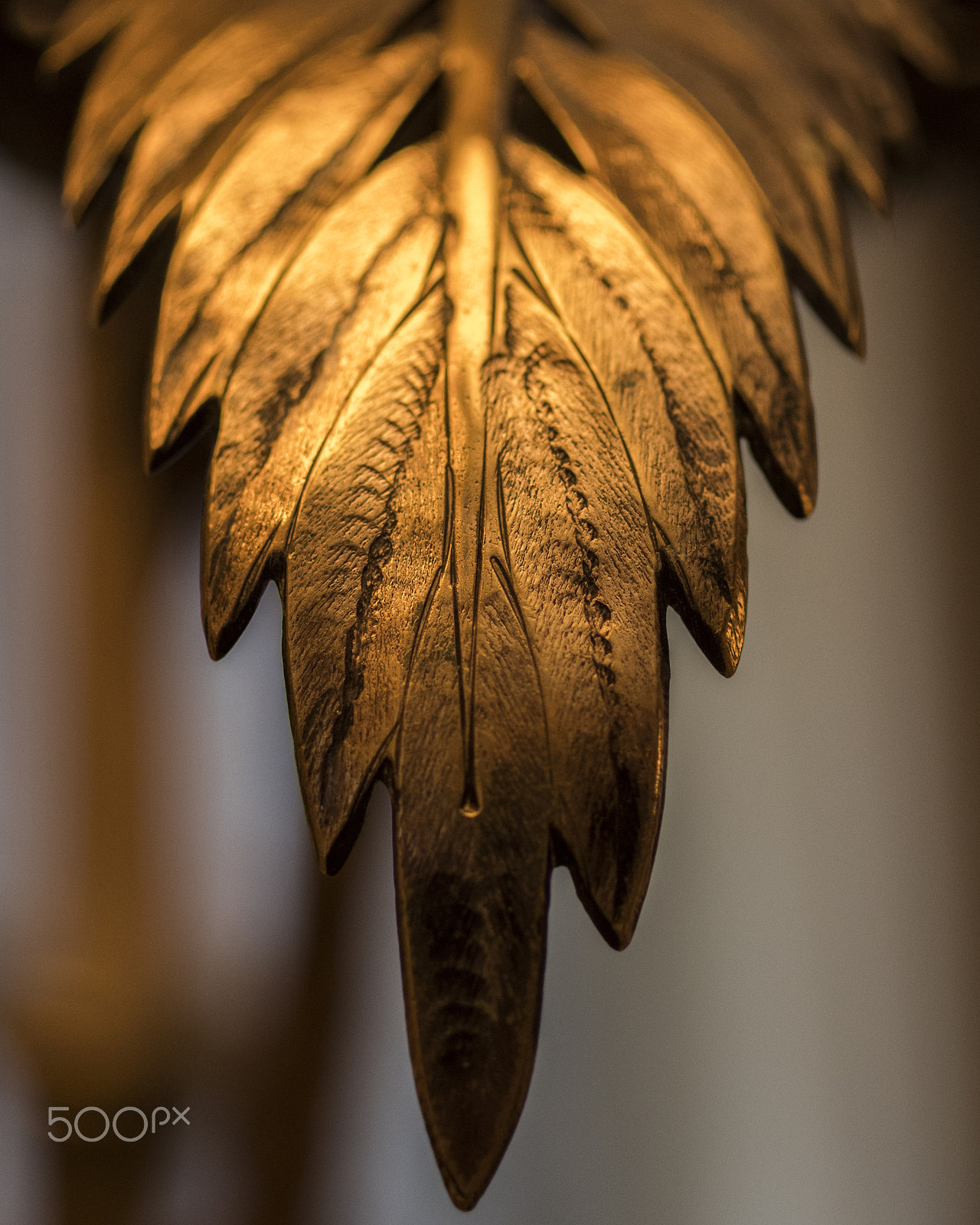 Pentax K-1 + Pentax smc D-FA 50mm F2.8 Macro sample photo. Golden leaf photography