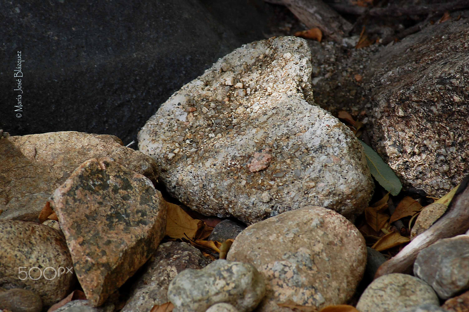 Nikon D40 sample photo. Heart photography