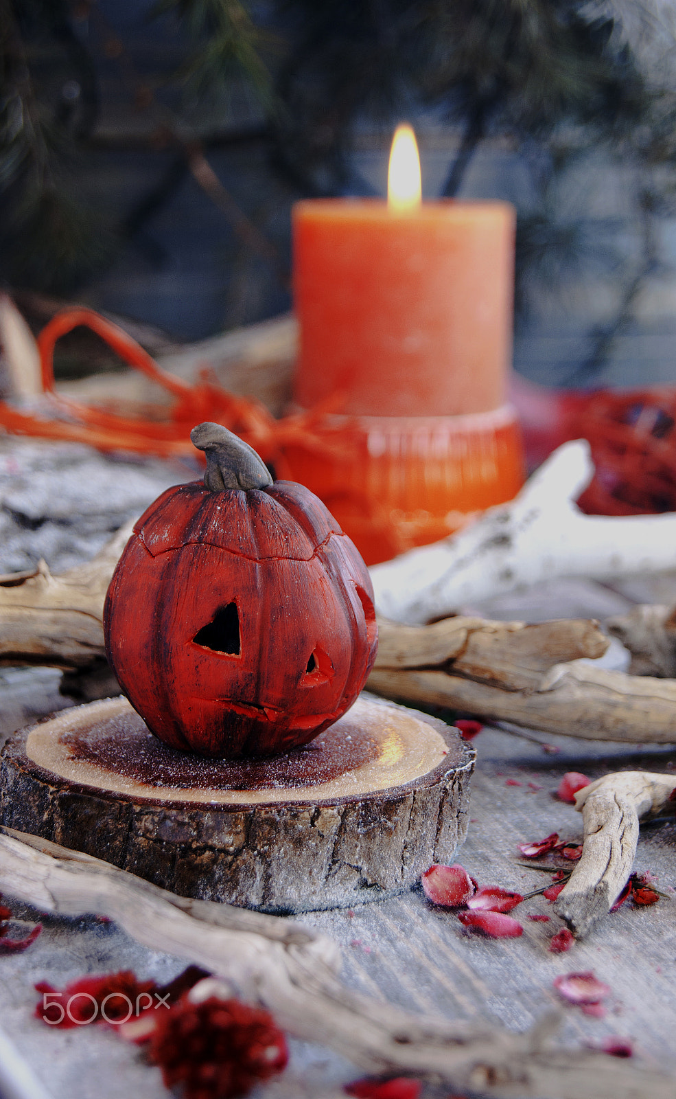 Sony Alpha DSLR-A380 sample photo. Decorative pumpkin for halloween with dried flowers photography