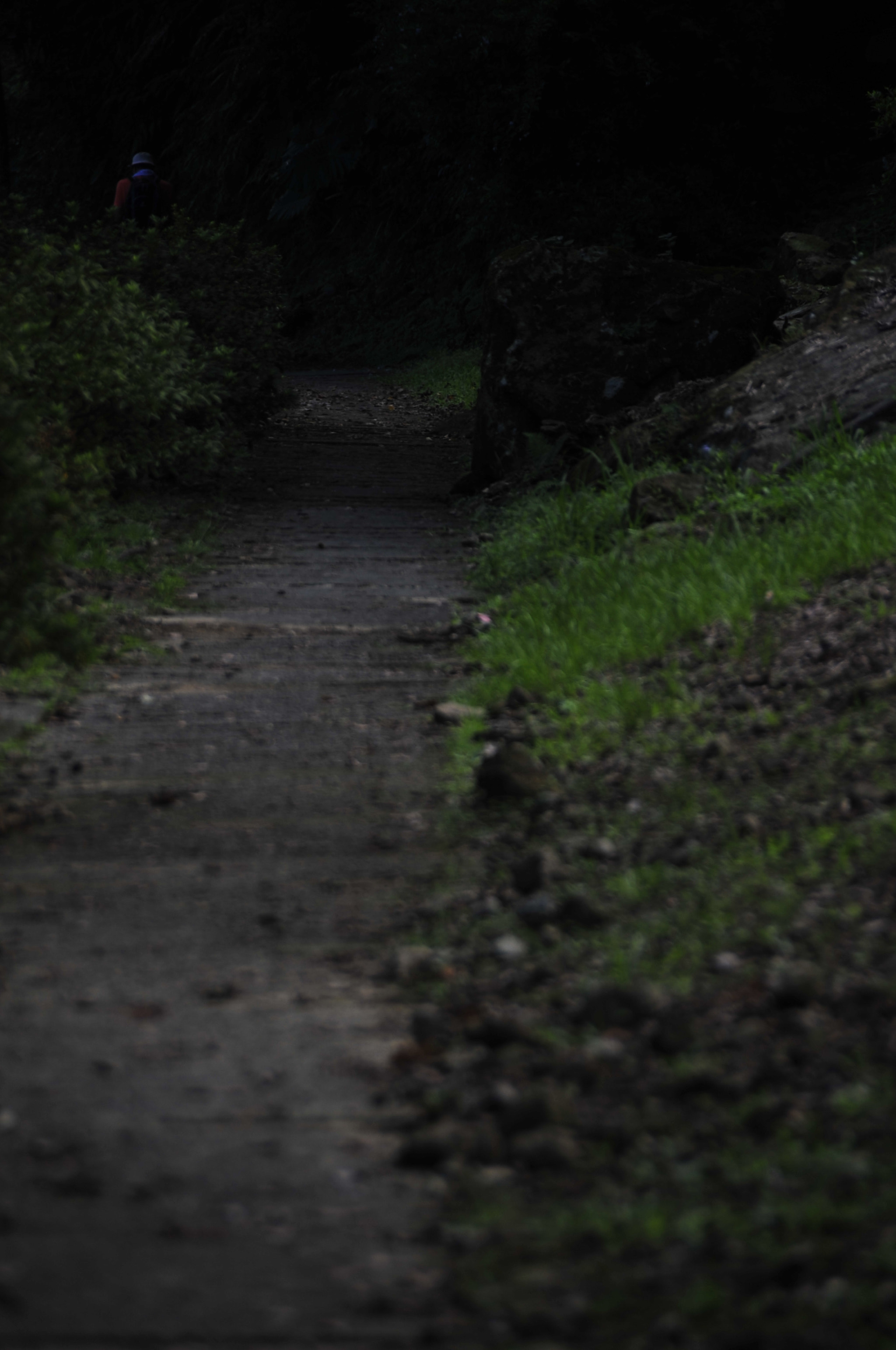 Nikon D3 sample photo. .. photography
