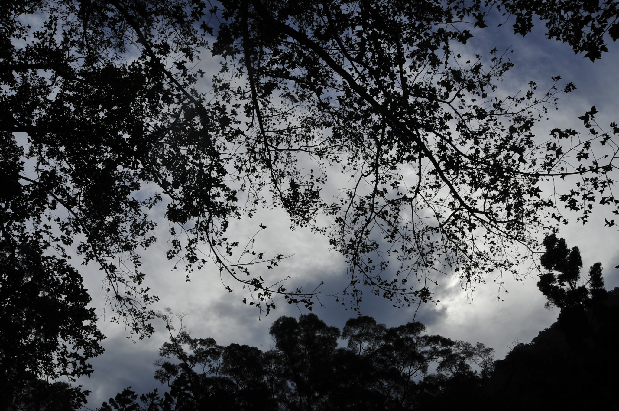 Nikon D3 sample photo. .. photography