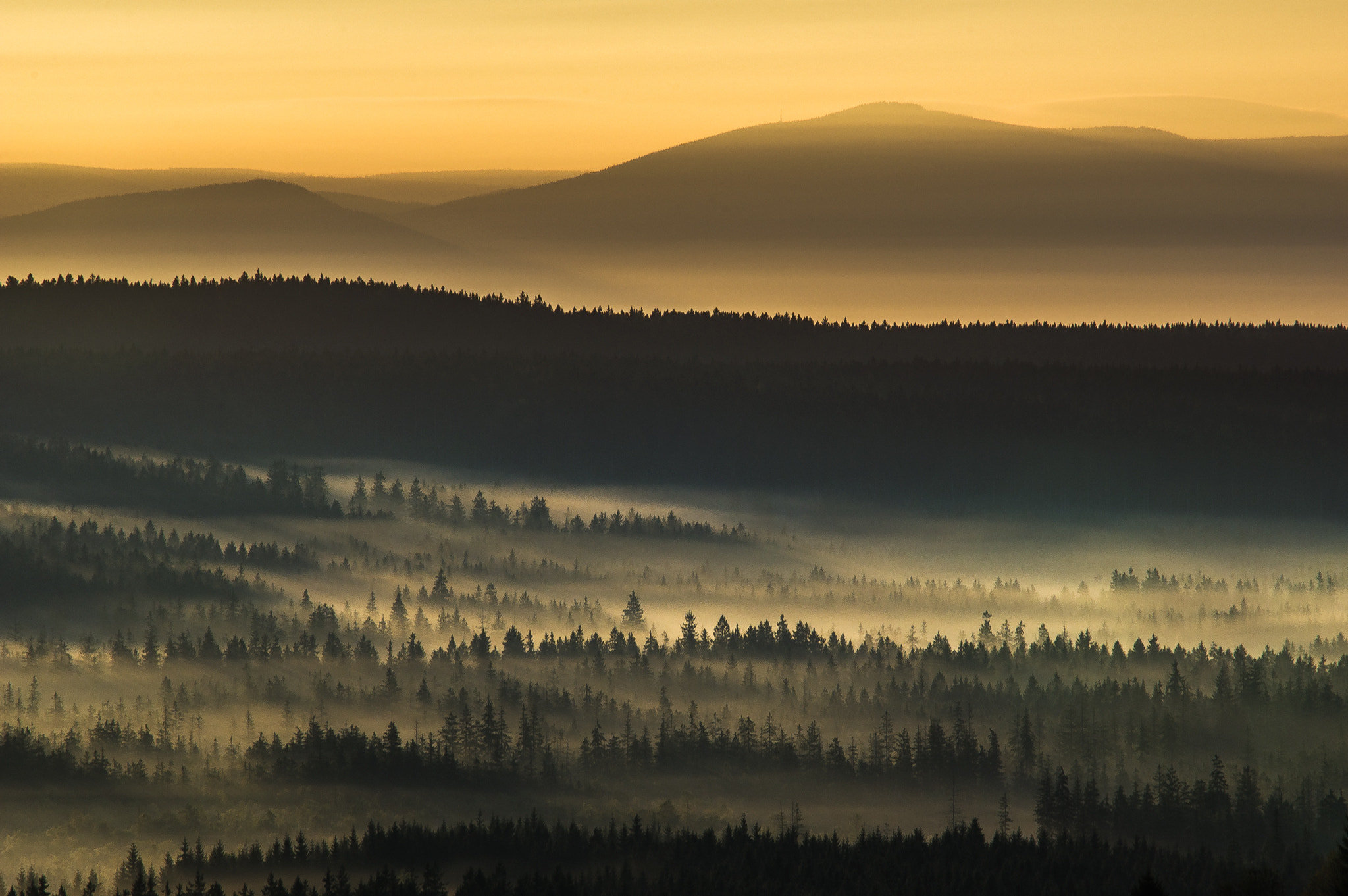 Sigma 70-200mm F2.8 EX DG Macro HSM II sample photo. Wrzesniowy poranek w zielencu photography