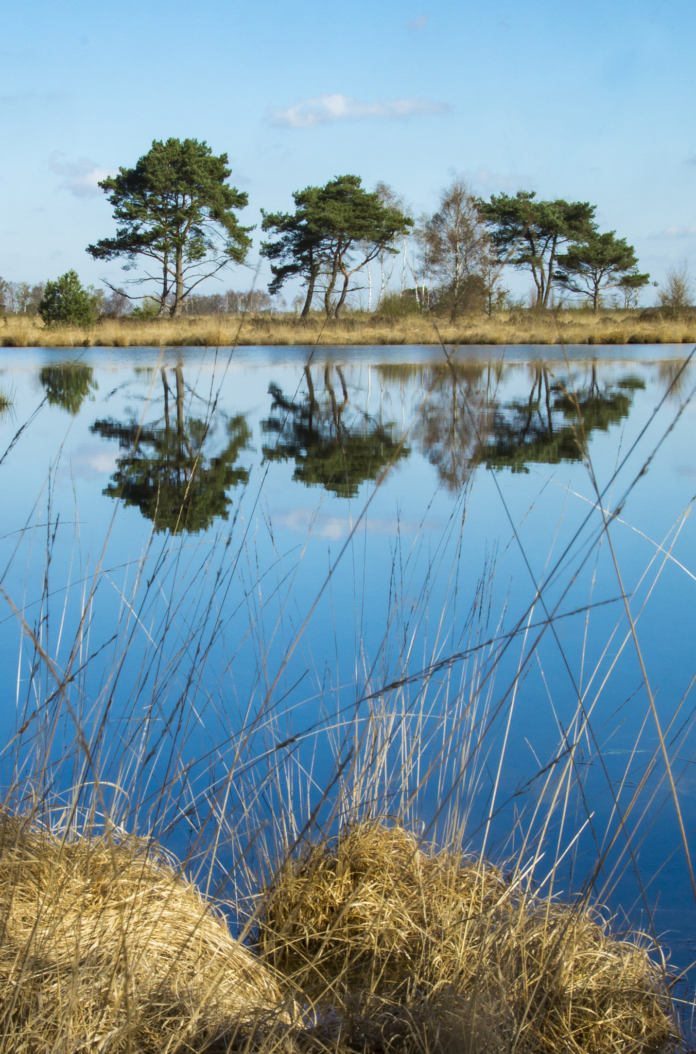 Sony SLT-A58 sample photo. Lake photography