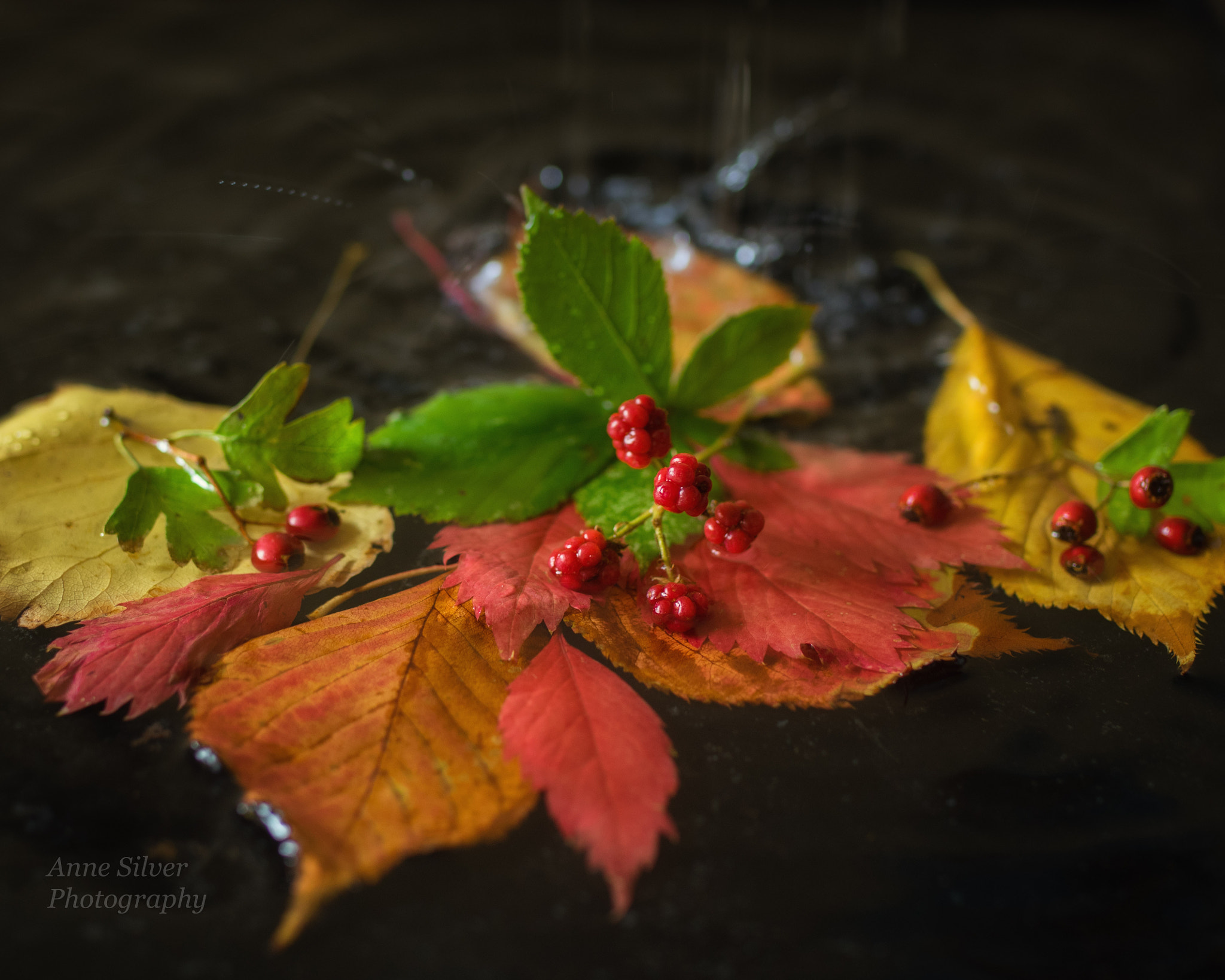 Pentax K-3 sample photo. Autumn rain photography
