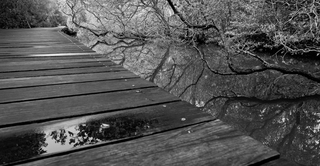 Leica M9 + Leica Elmarit-M 24mm F2.8 ASPH sample photo. Silence photography