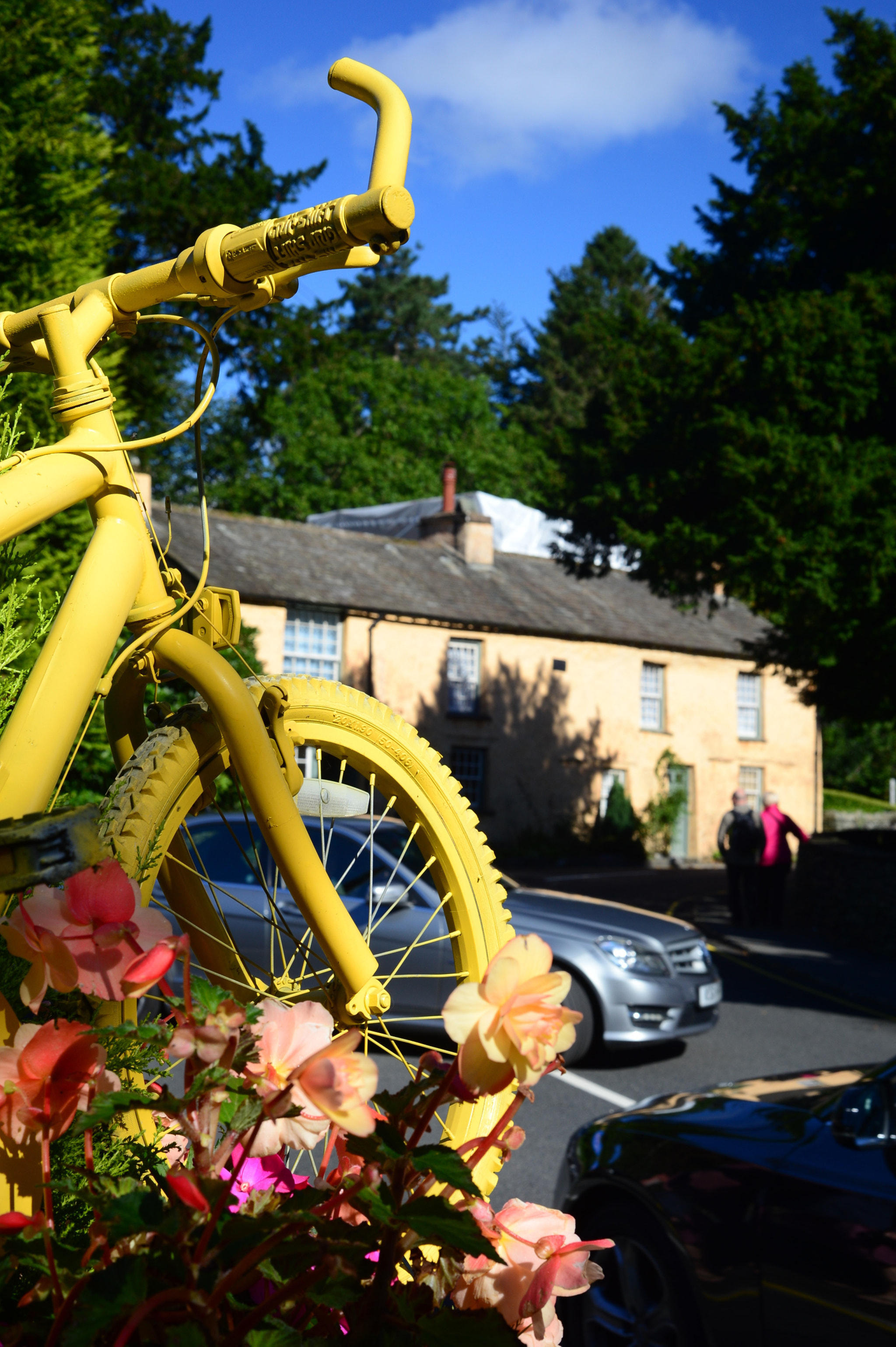 Nikon Df sample photo. Bike amongst flowers photography