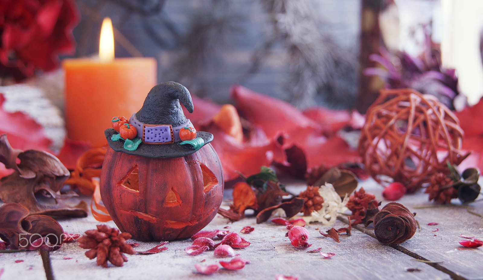 Sony Alpha DSLR-A380 sample photo. Decorative pumpkin for halloween with dried flowers photography