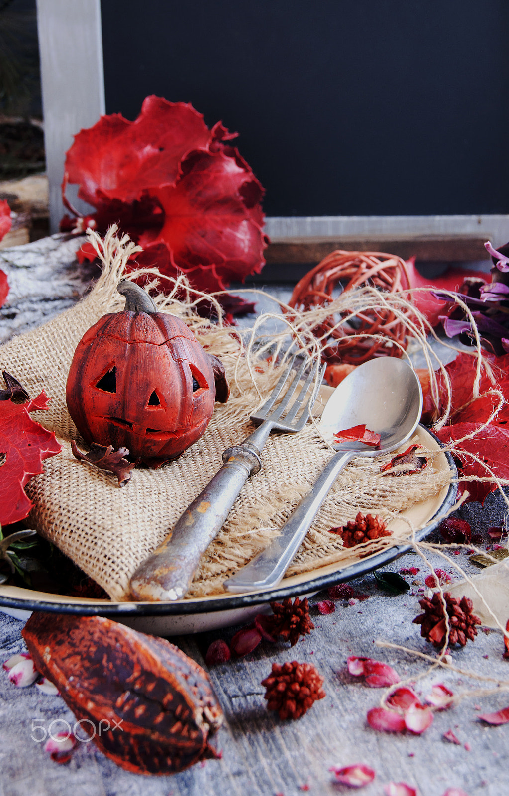 Sony Alpha DSLR-A380 + Sony DT 18-55mm F3.5-5.6 SAM sample photo. Decorative pumpkin for halloween with dried flowers photography