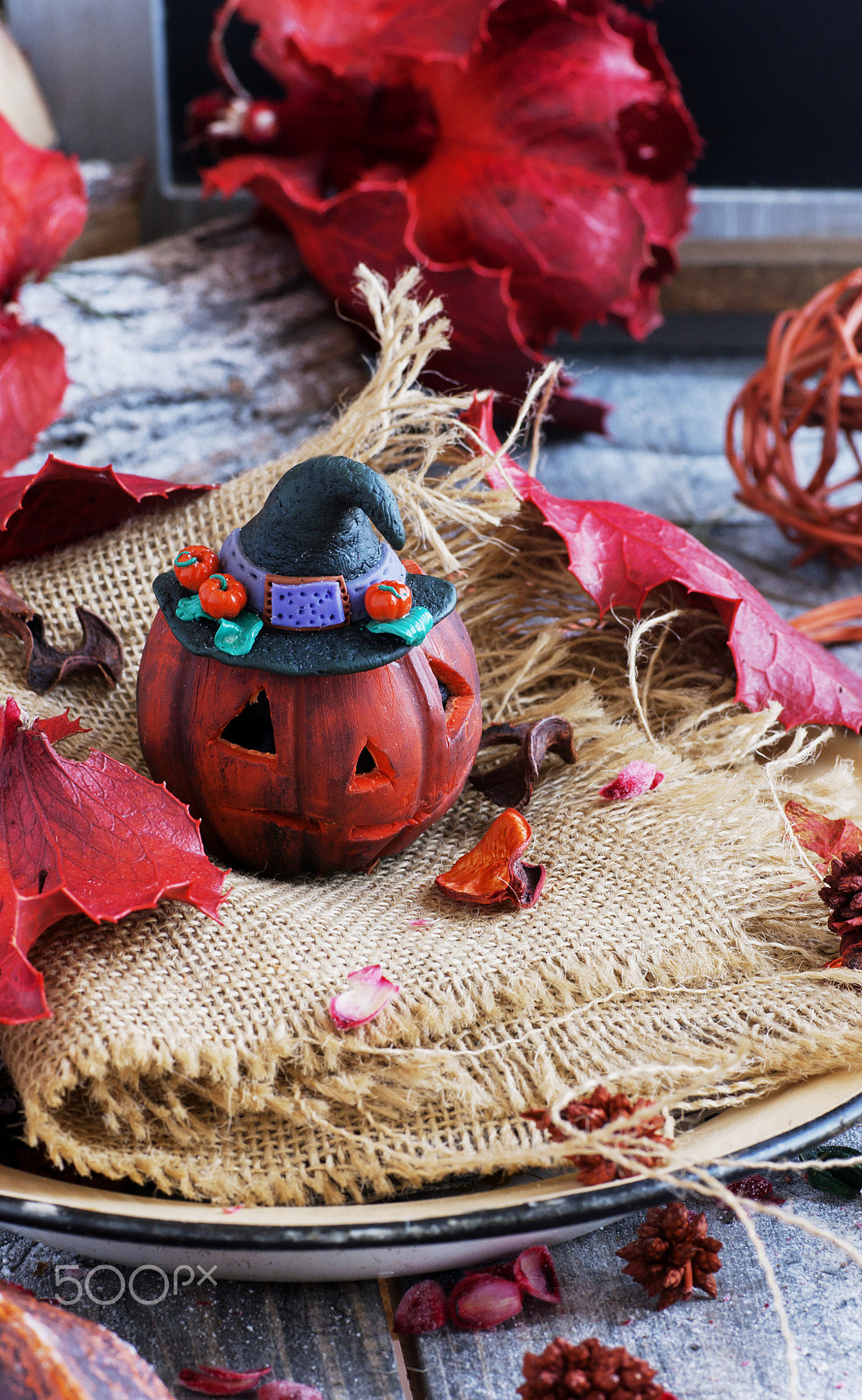 Sony Alpha DSLR-A380 + Sigma 70mm F2.8 EX DG Macro sample photo. Decorative pumpkin for halloween with dried flowers photography