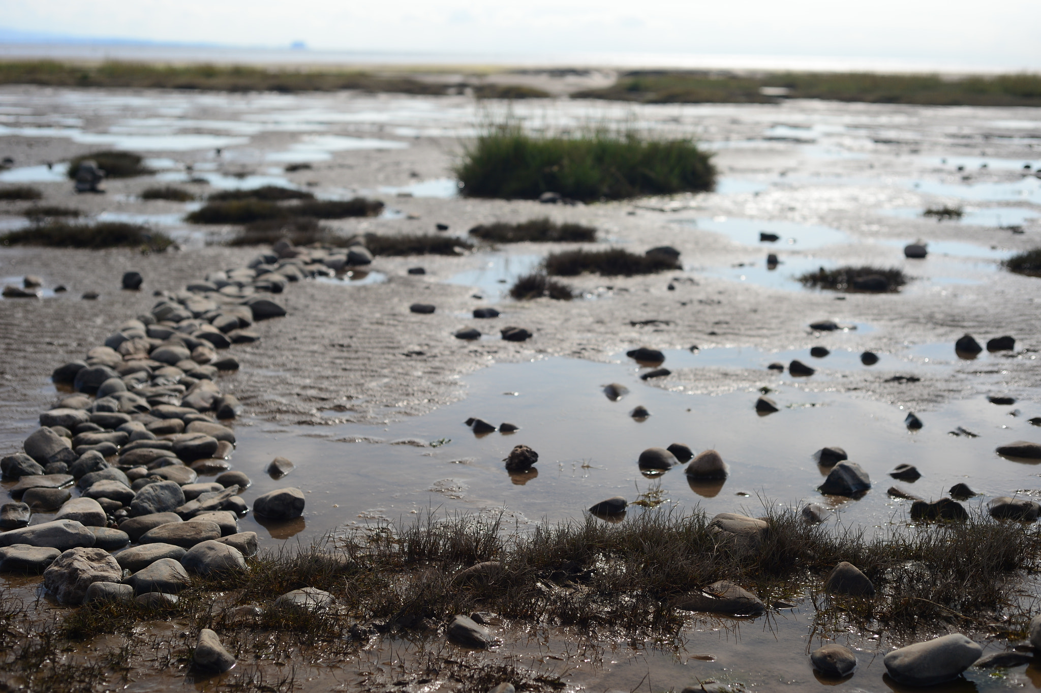 Nikon Df sample photo. The path into the sea photography