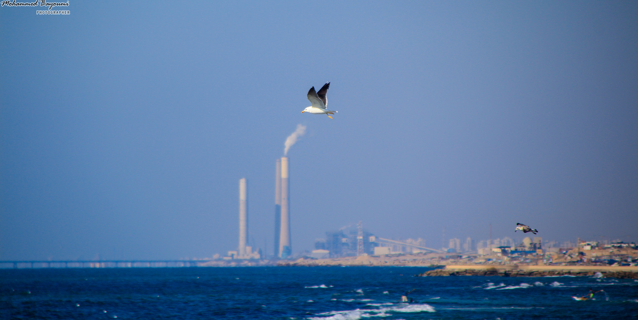 Canon EOS 650D (EOS Rebel T4i / EOS Kiss X6i) + Canon TS-E 90mm F2.8 Tilt-Shift sample photo. سنثبلنهثقصل photography
