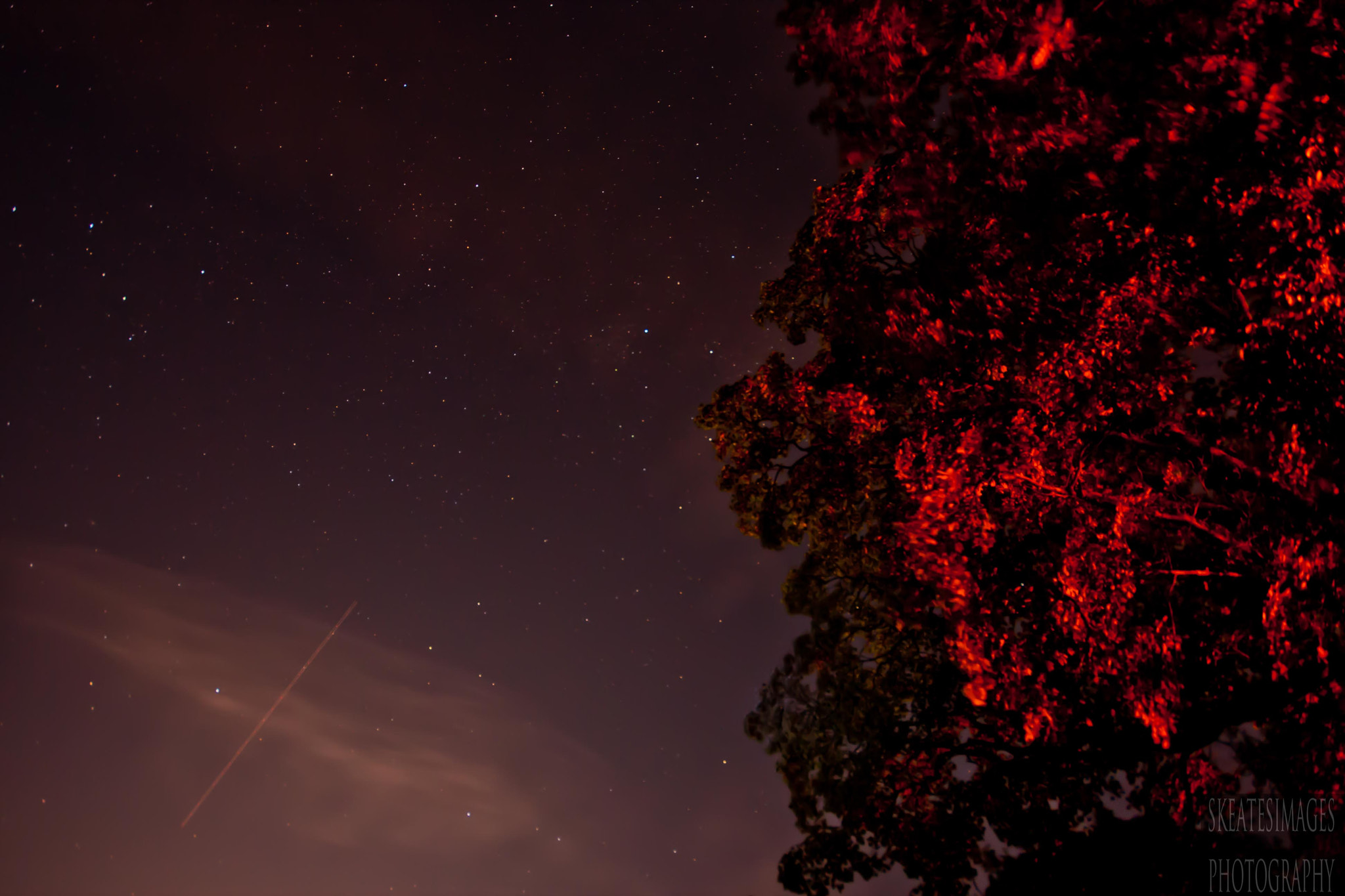 Canon EOS 40D + Sigma 10-20mm F4-5.6 EX DC HSM sample photo. Night sky photography
