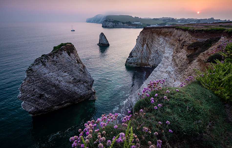 Panasonic Lumix DMC-GX8 sample photo. Wild sea thrift, freshwater bay photography