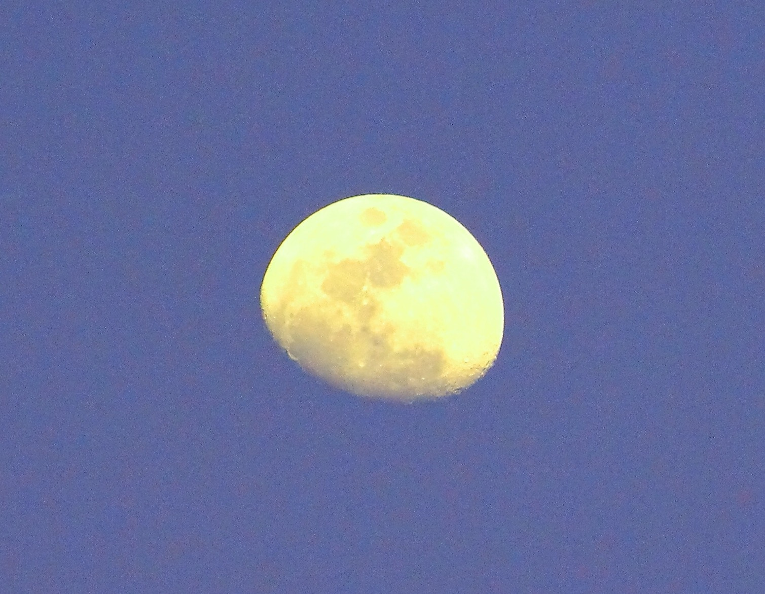 Canon EF75-300mm f/4-5.6 sample photo