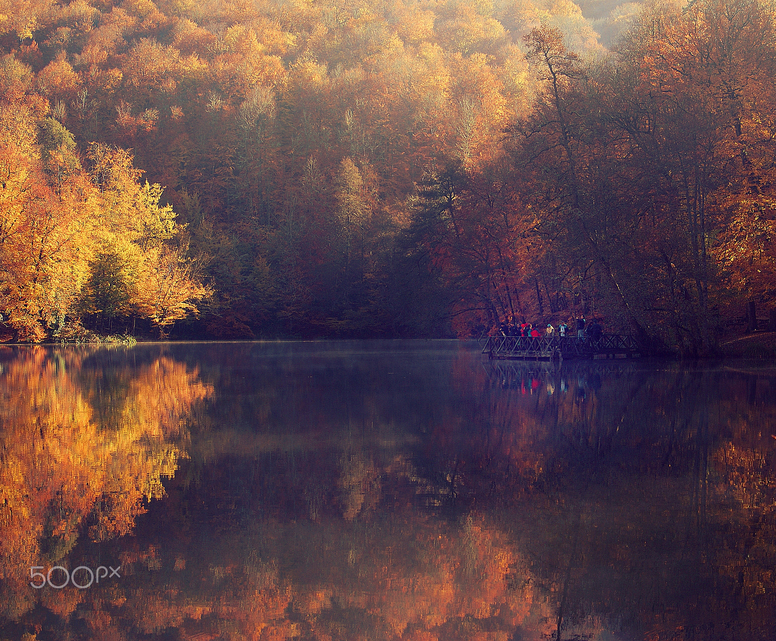 Sony Alpha DSLR-A300 sample photo. Autumn colors photography