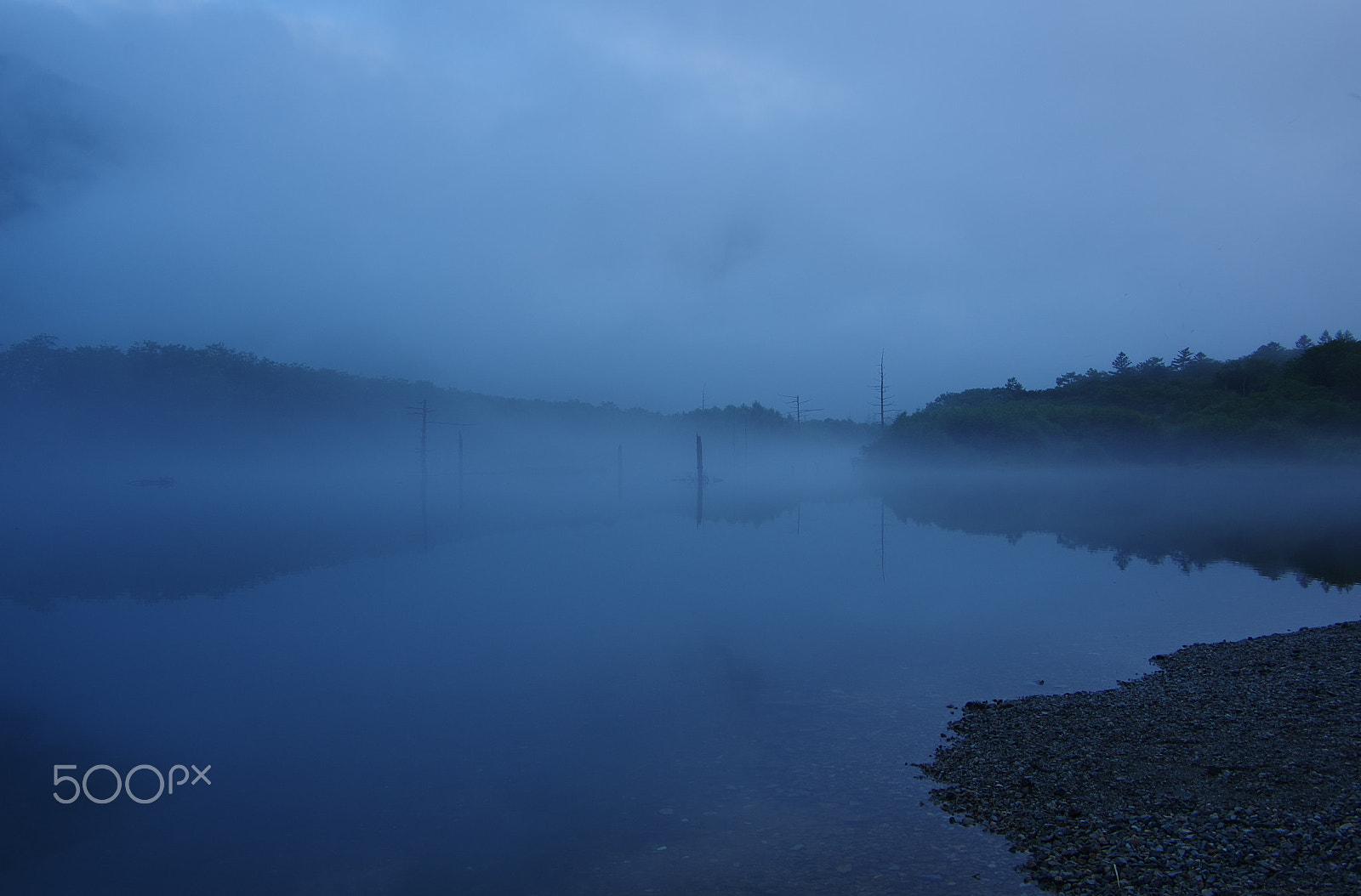 Pentax K-5 IIs sample photo. Shadowgraph2 photography