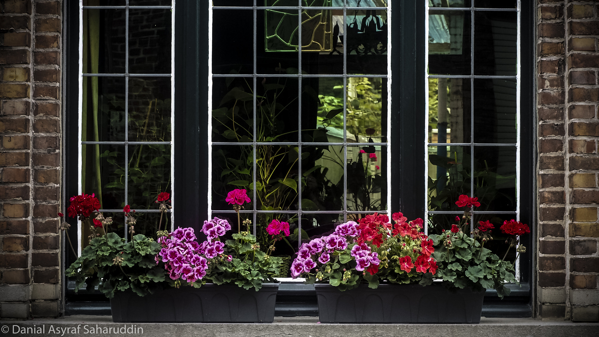 Olympus PEN E-PL7 sample photo. Flower pots photography