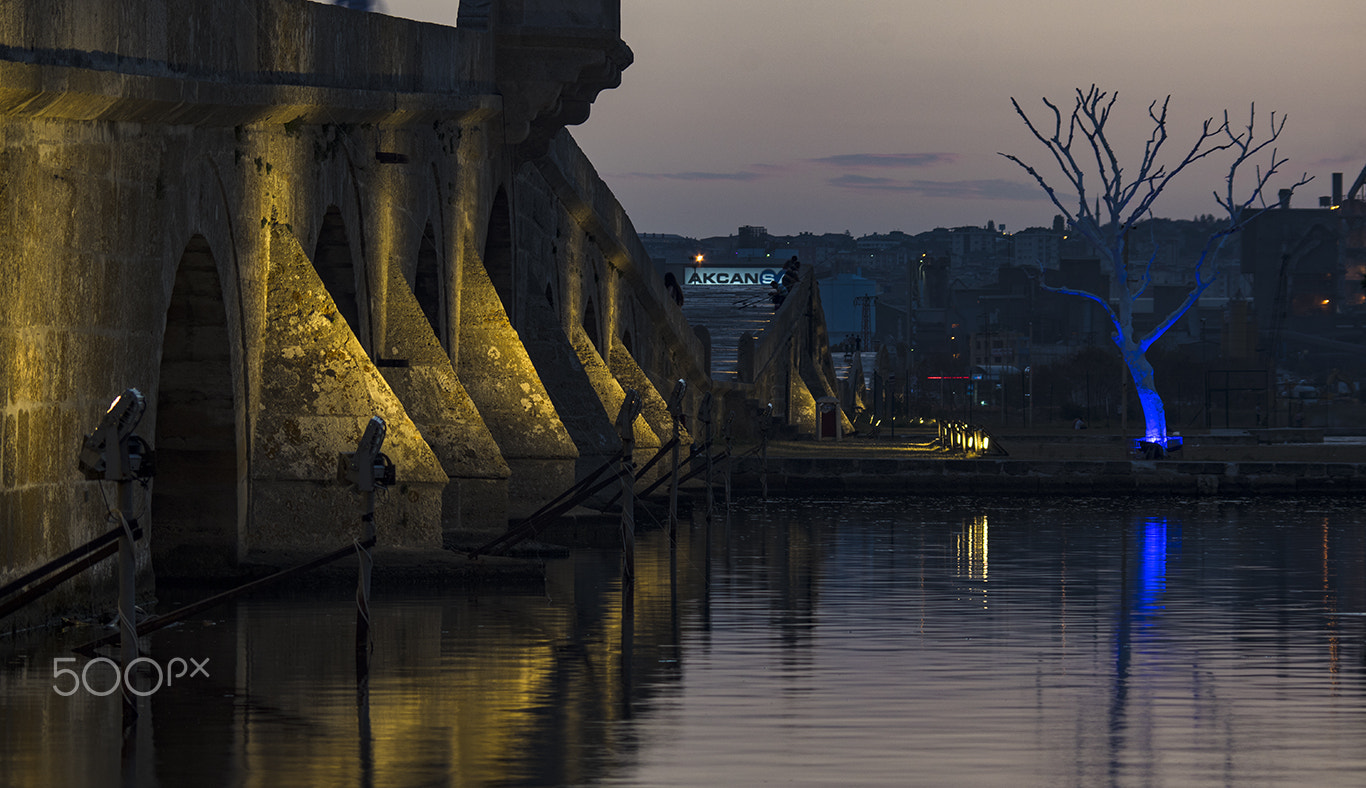 Pentax K-3 II sample photo. Evening phosphorescence photography