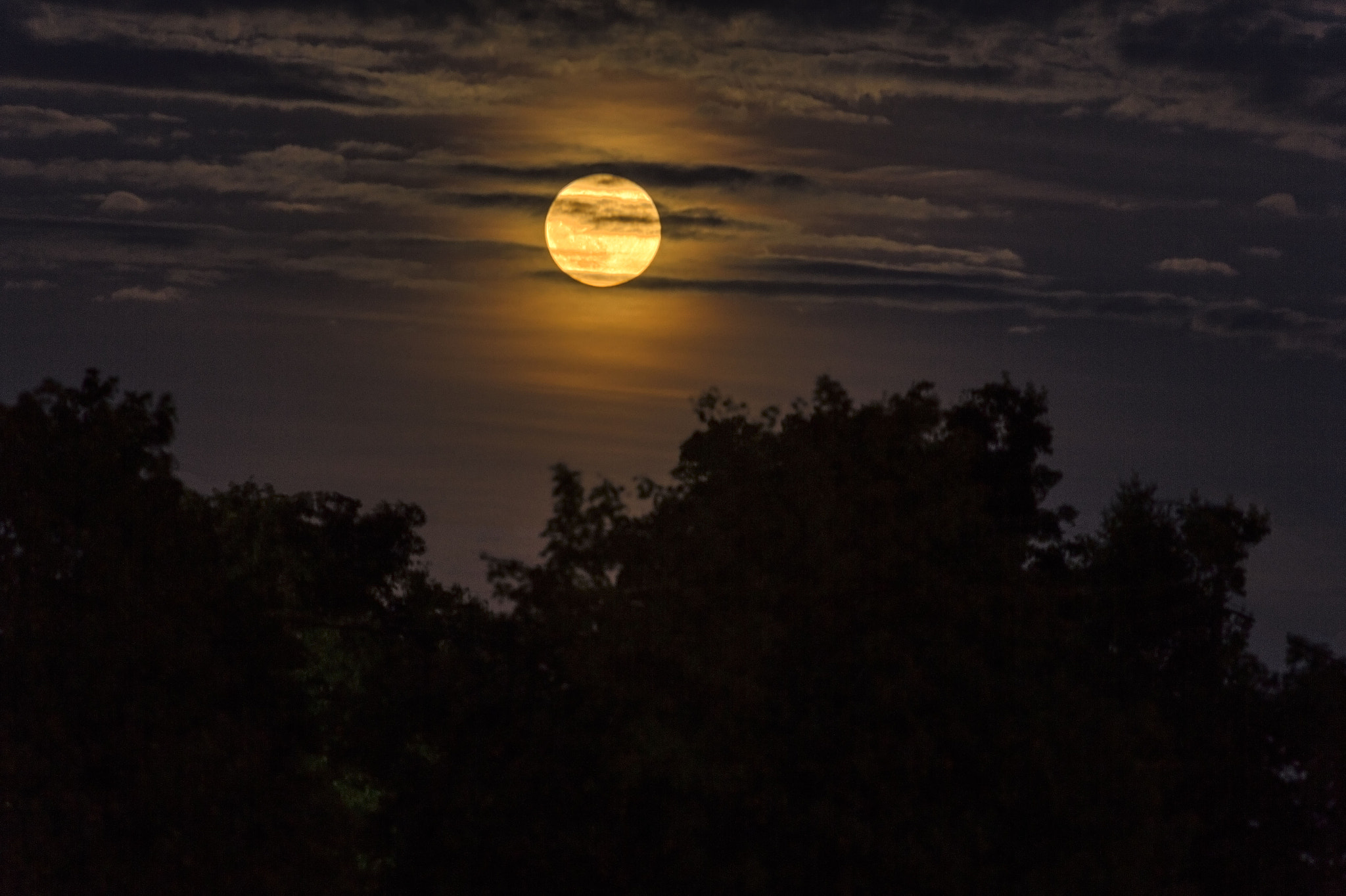 Canon EOS 600D (Rebel EOS T3i / EOS Kiss X5) + Canon EF 70-200mm F4L USM sample photo. Blood moon rising photography