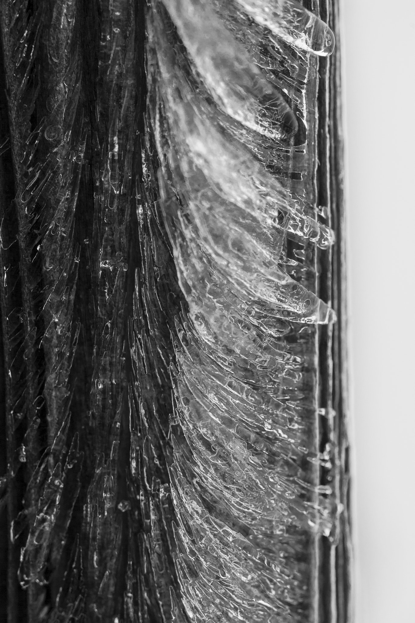 Nikon D700 + Nikon AF Micro-Nikkor 200mm F4D ED-IF sample photo. Oksanarezzonicophotography photography