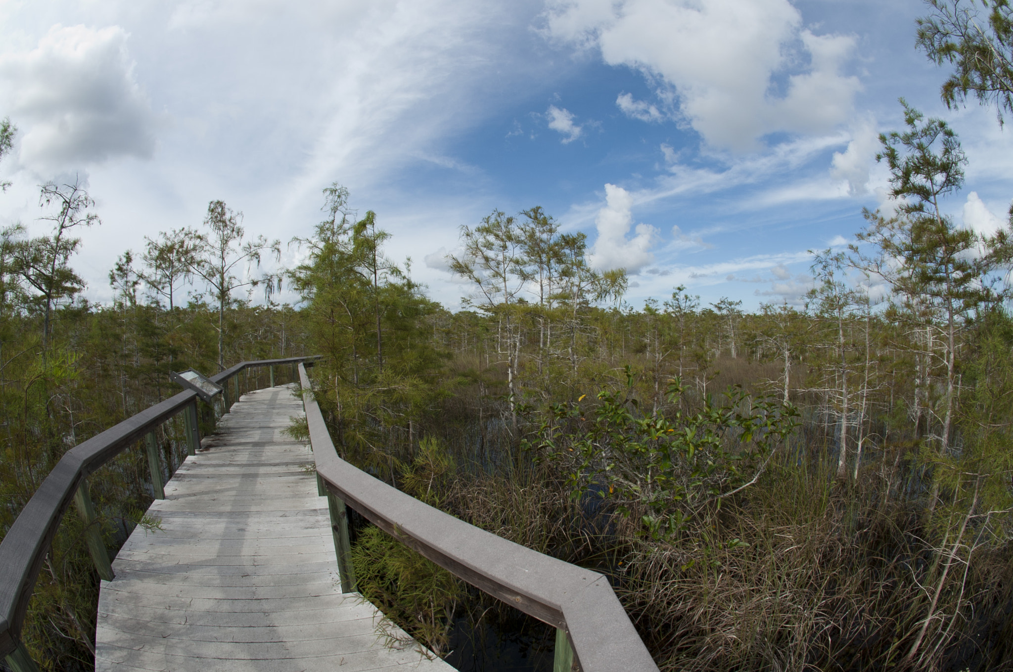 Nikon D700 + Sigma 10mm F2.8 EX DC HSM Diagonal Fisheye sample photo. Oksanarezzonicoptohographyflorida photography