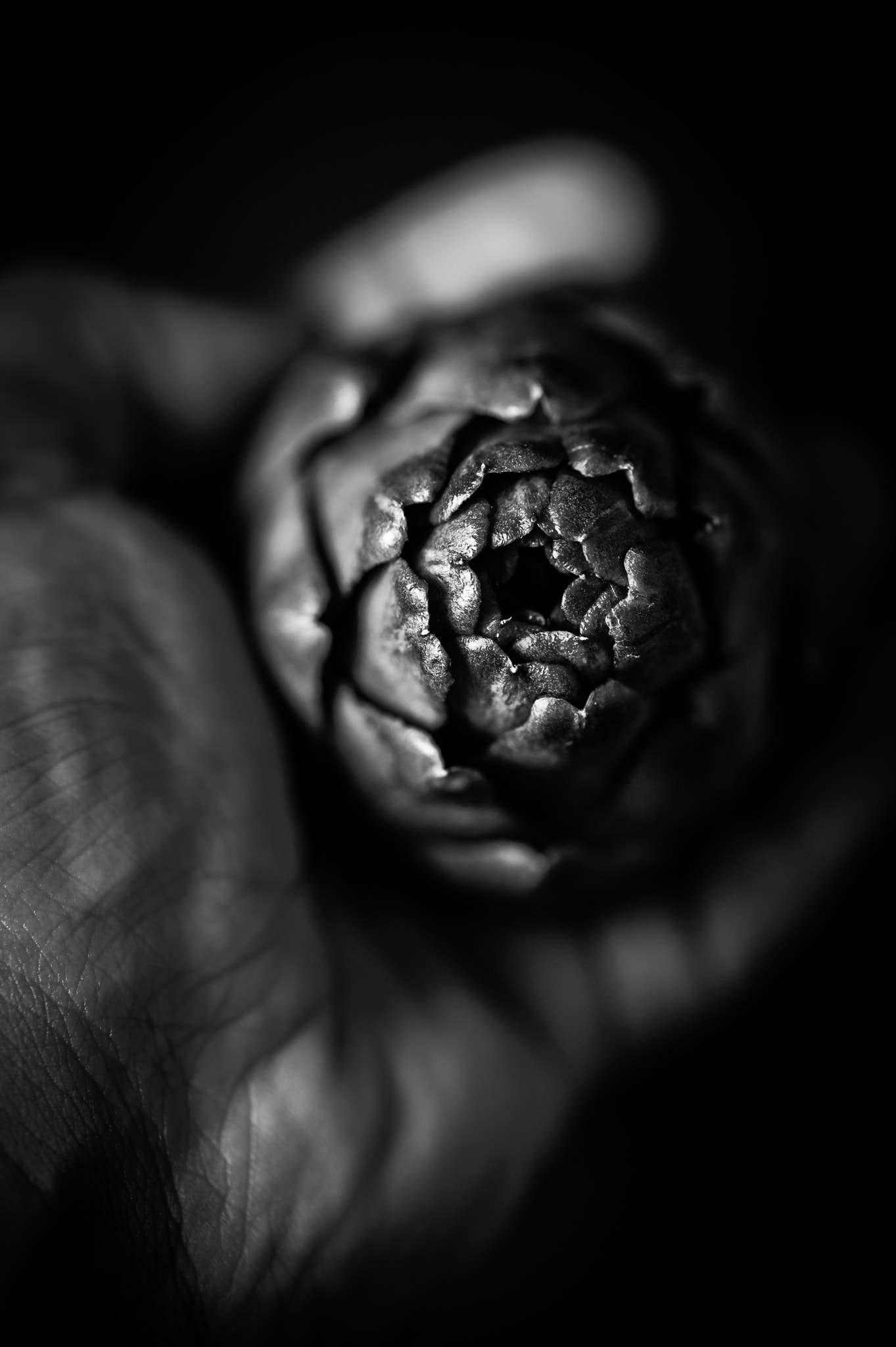 Sigma 105mm F2.8 EX DG OS HSM sample photo. Rustic photography