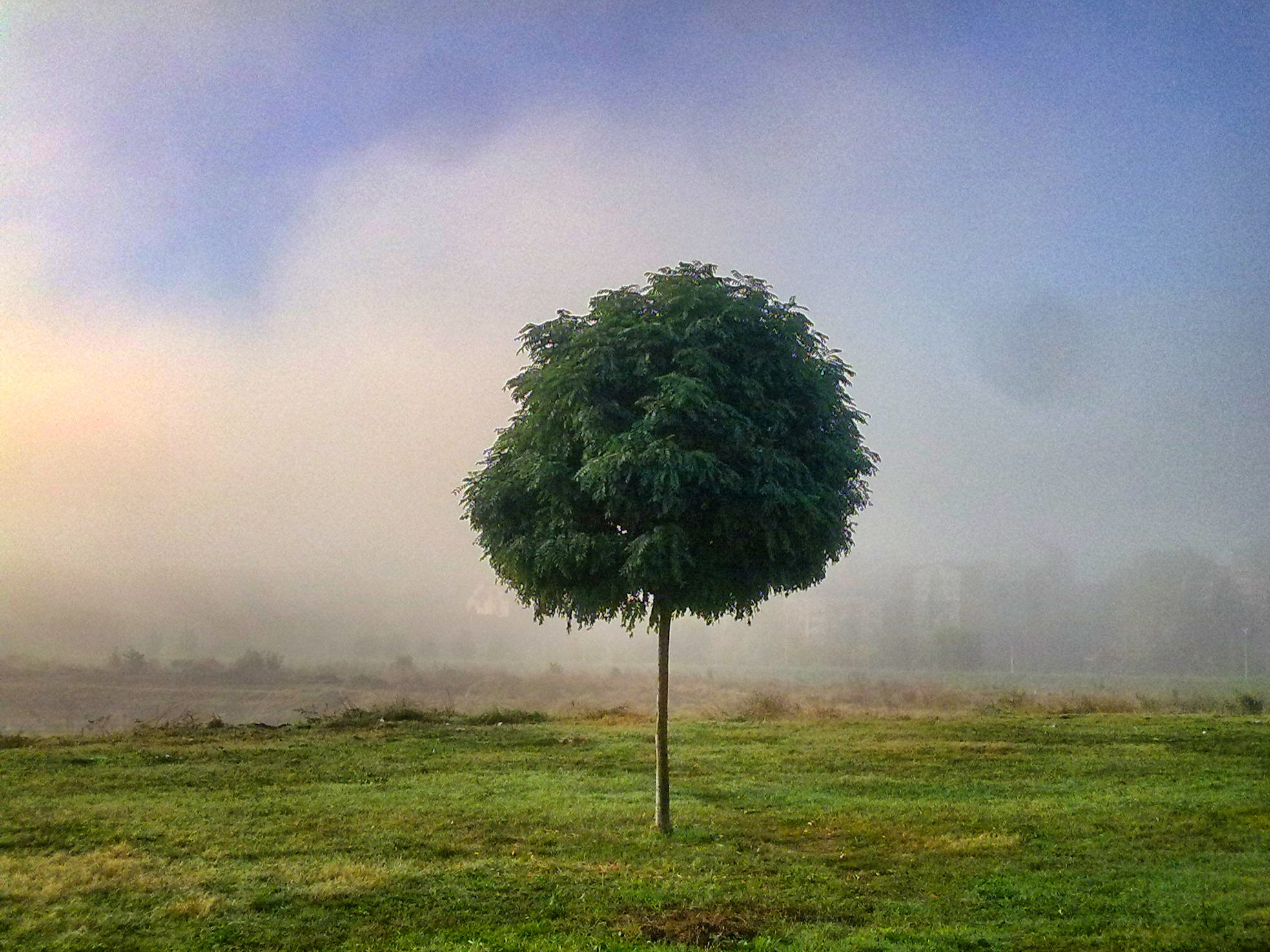 Nokia N78 sample photo. Lonely in the field photography