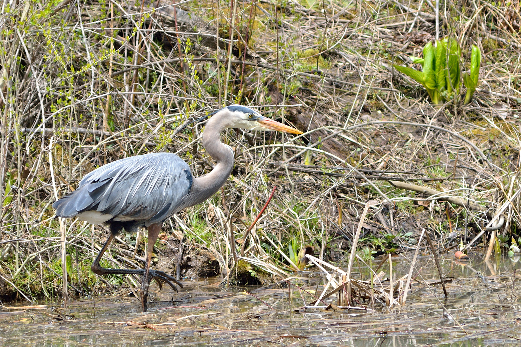 Nikon D7000 sample photo. Muddy feet photography