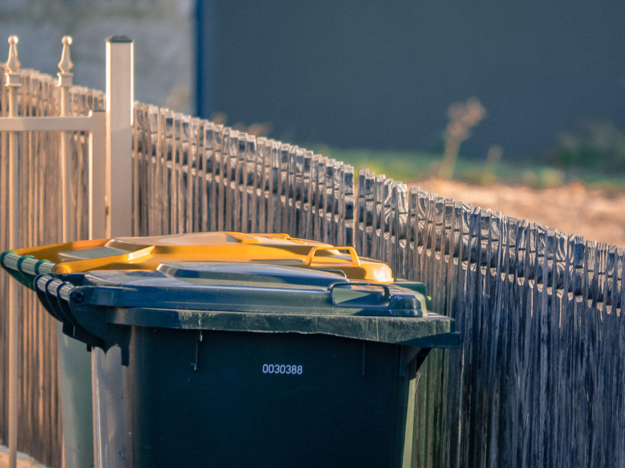 Olympus OM-D E-M1 sample photo. Green top yellow top photography