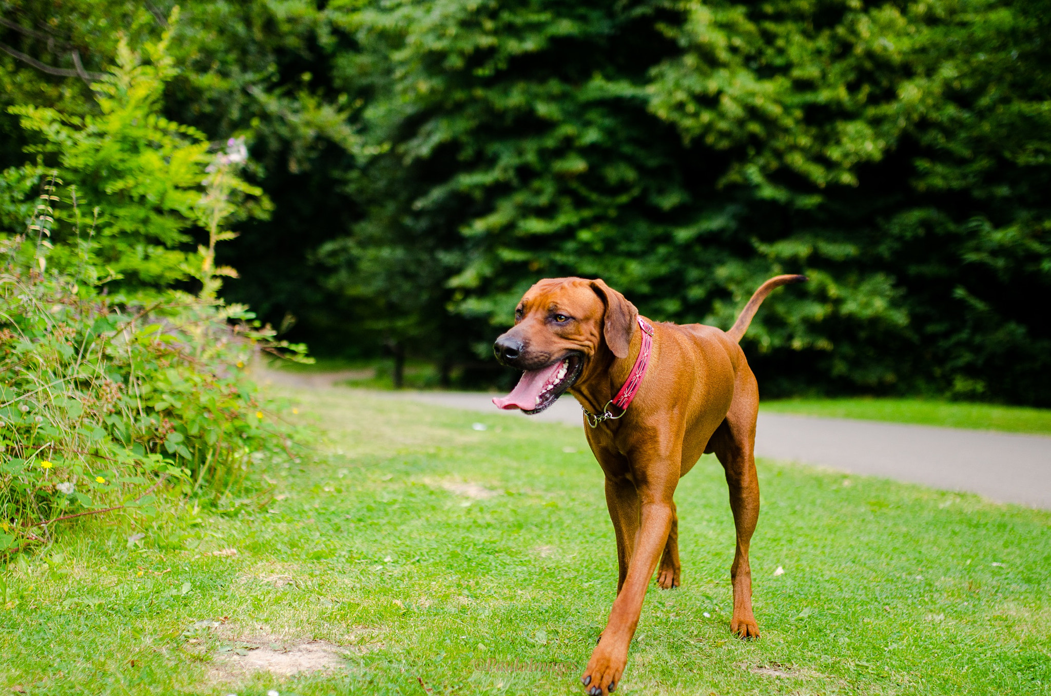 Nikon D7000 + Sigma 35mm F1.4 DG HSM Art sample photo. Exploring photography