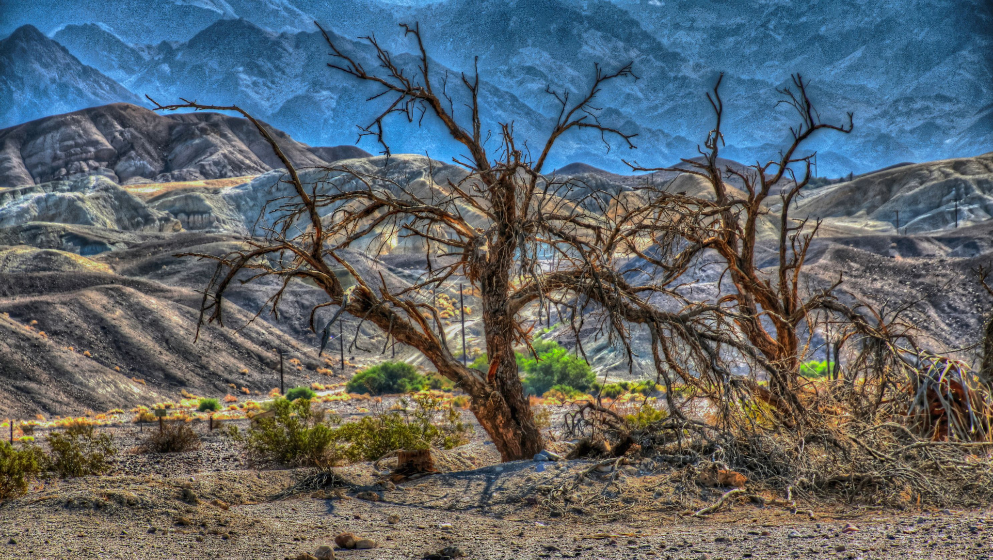 Canon EOS 760D (EOS Rebel T6s / EOS 8000D) + Tamron 16-300mm F3.5-6.3 Di II VC PZD Macro sample photo. Death valley tree photography