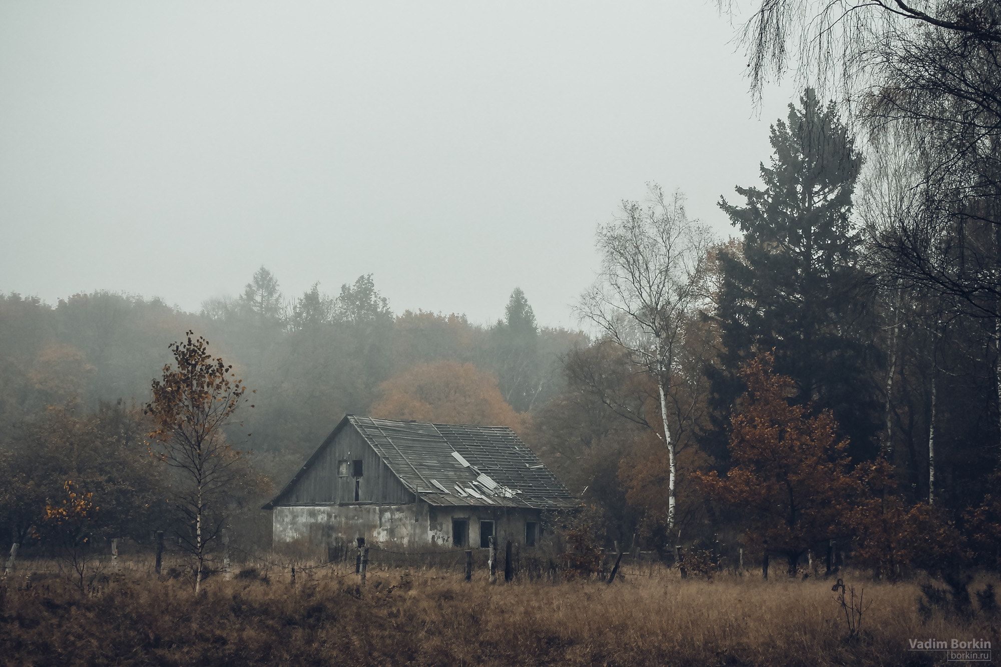 home insurance