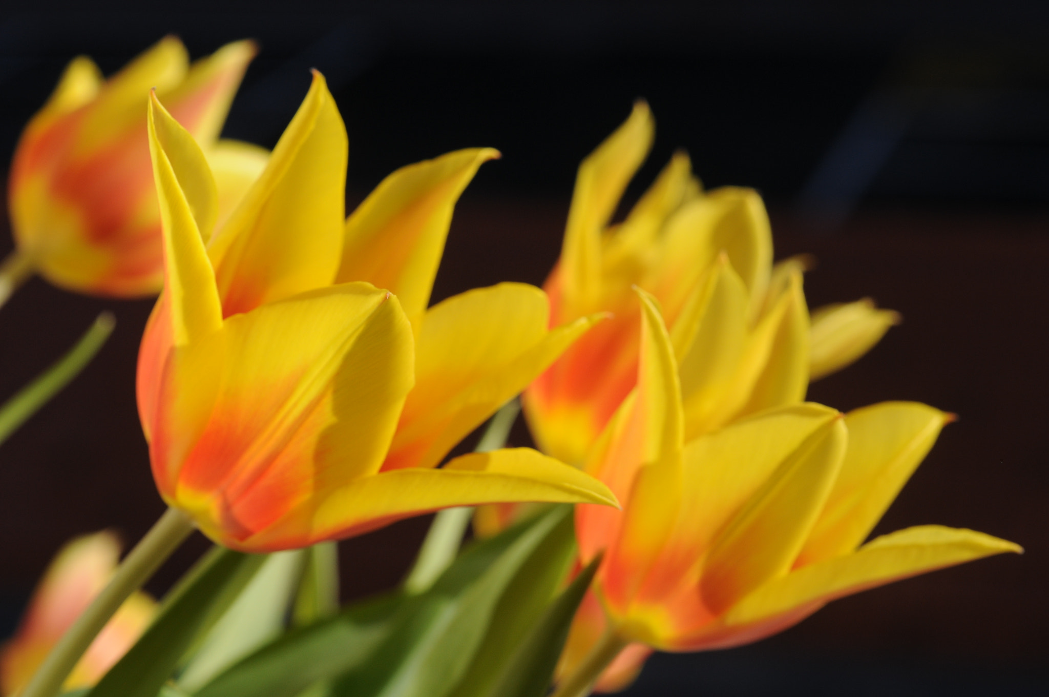 Manual Lens No CPU sample photo. Where's the sun? photography