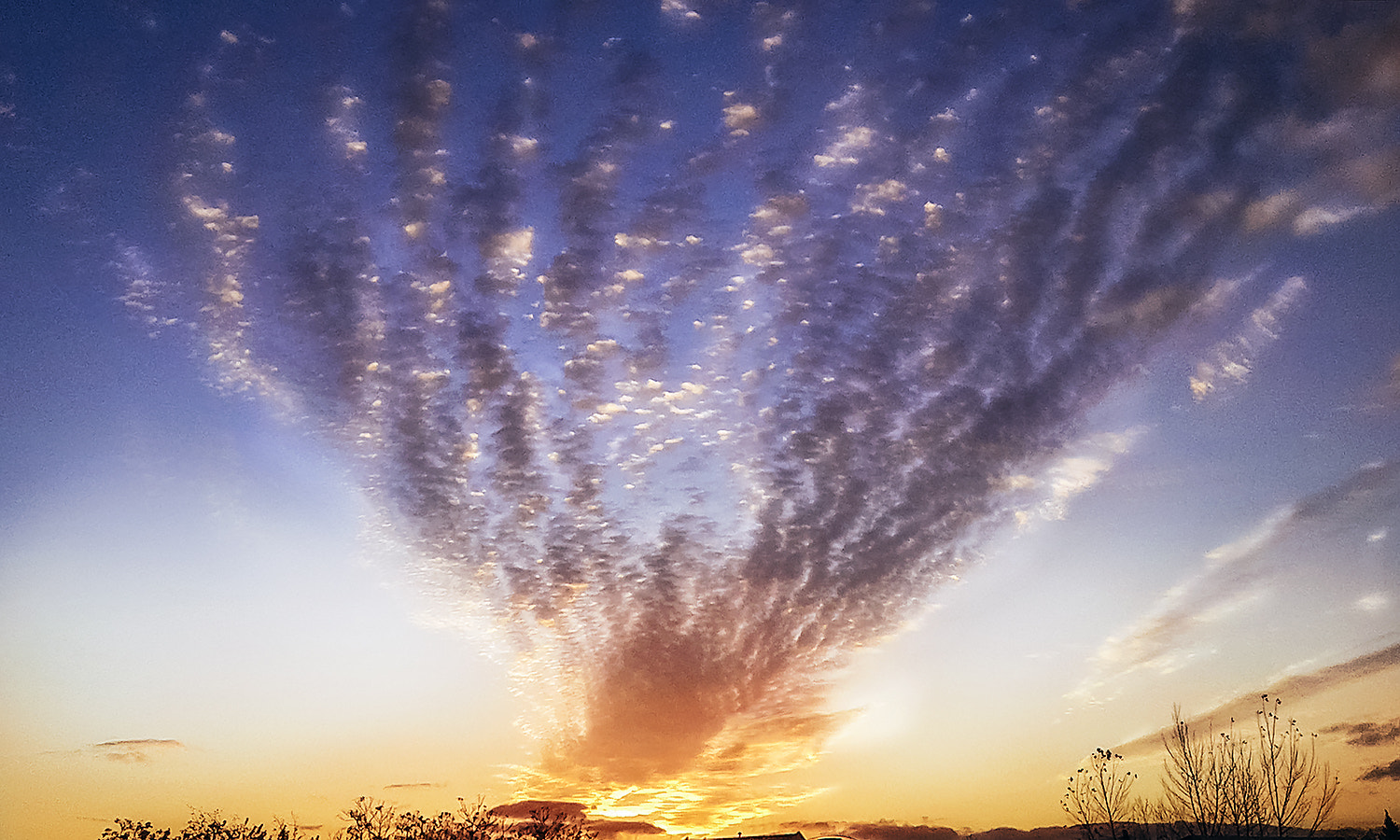 Samsung Galaxy Core2 sample photo. Fenix in the sky photography