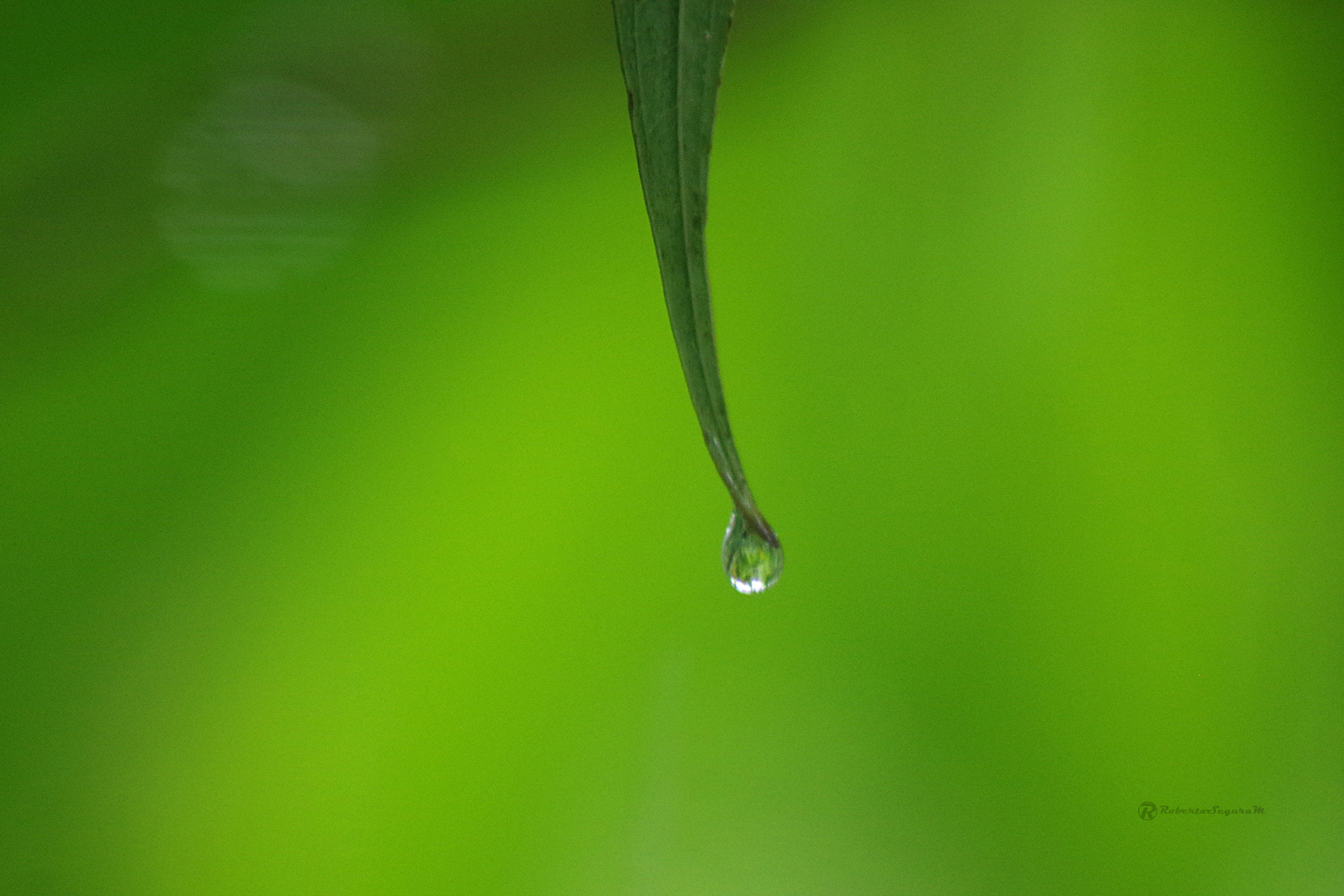 Pentax K-S2 sample photo. Cuando la lluvia limpia photography