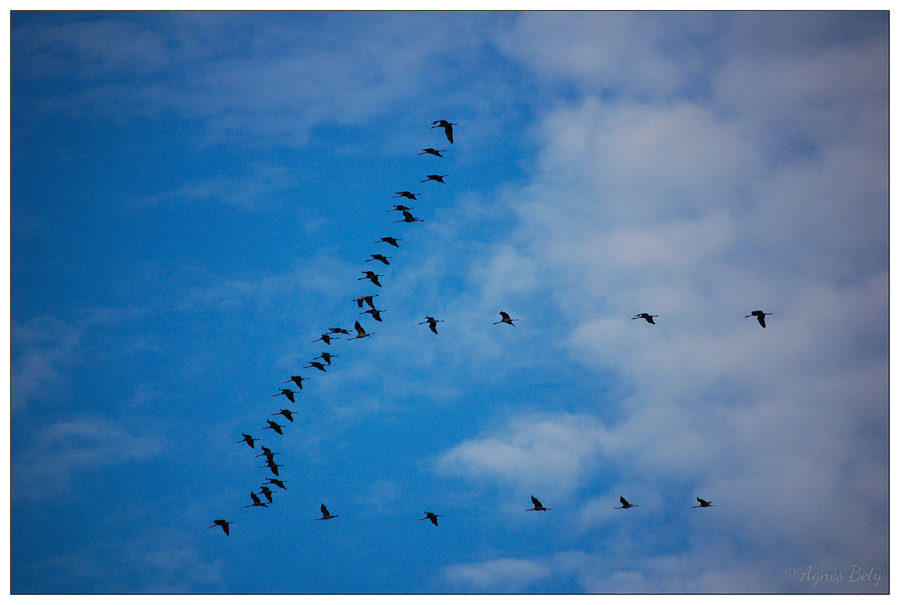 Nikon D50 sample photo. Travel photography