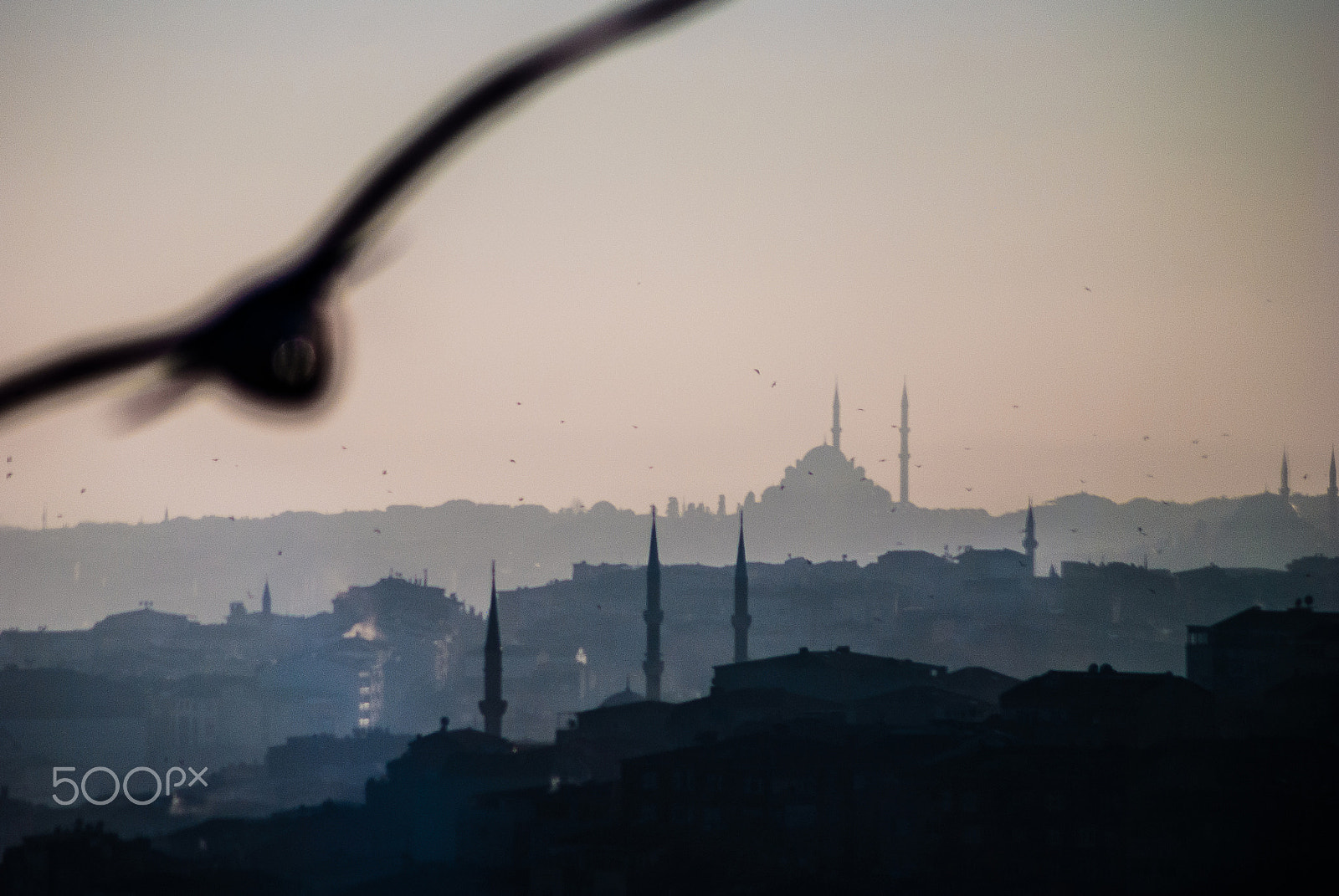 Nikon D60 sample photo. Istanbul turkey photography